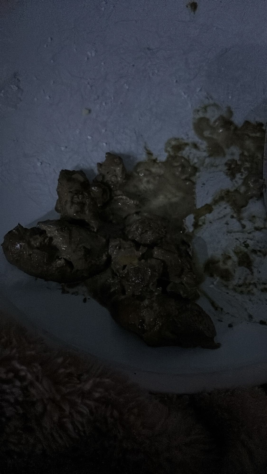 Cooked Chicken Liver