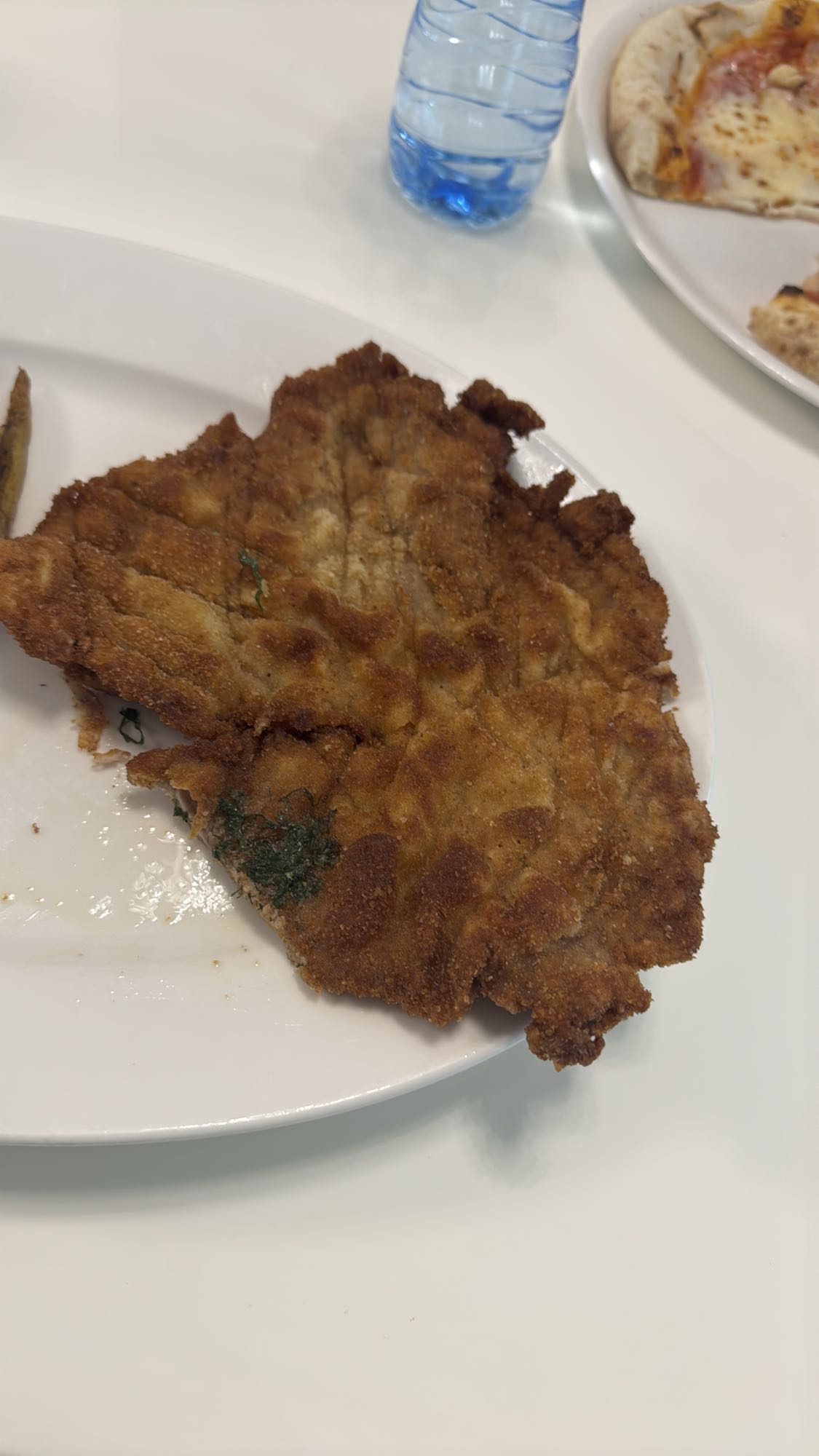 Breaded Fried Cutlet