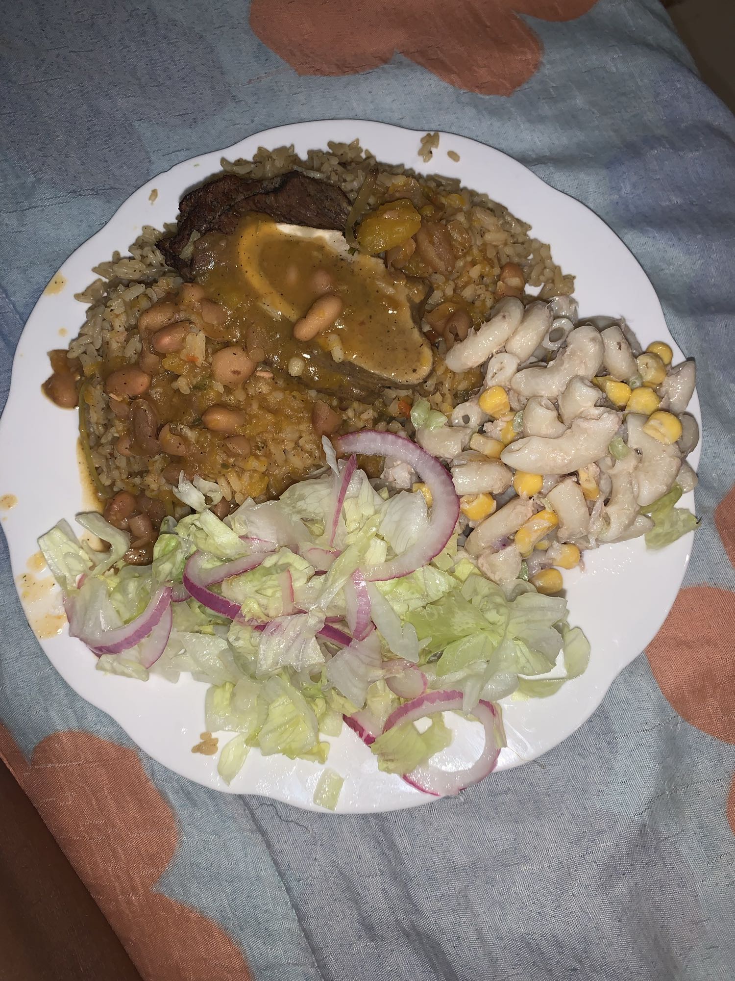 Arroz con carne y ensalada