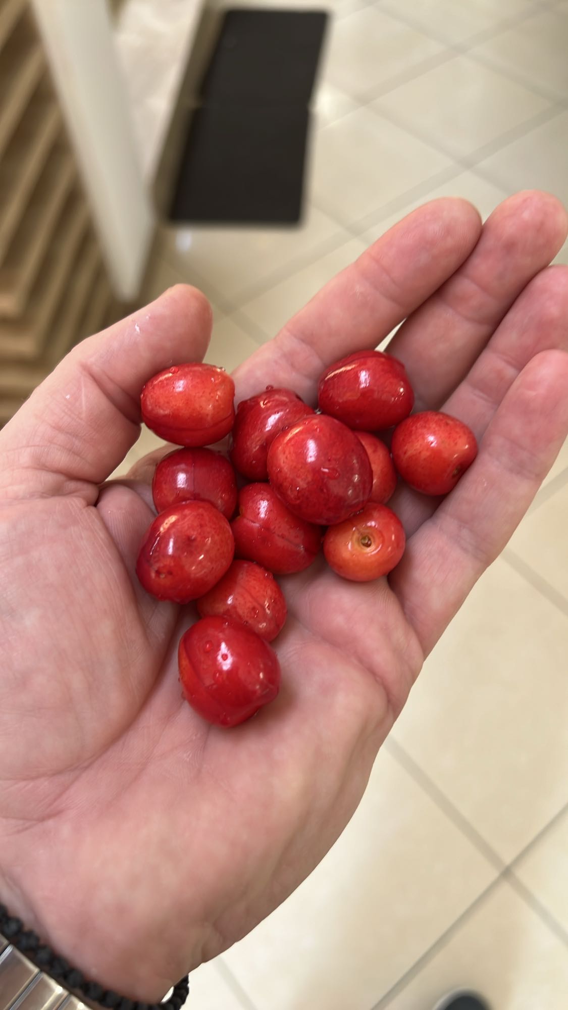 Fructe cornișor proaspete