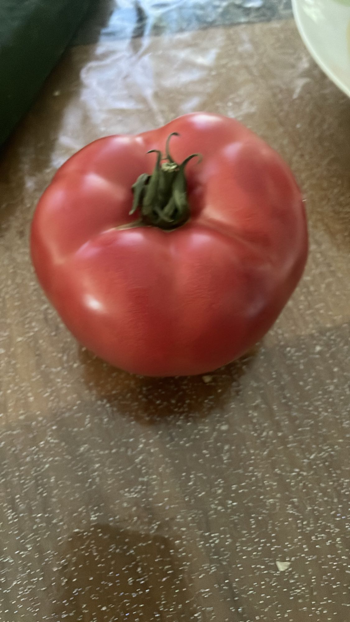 Fresh Tomato