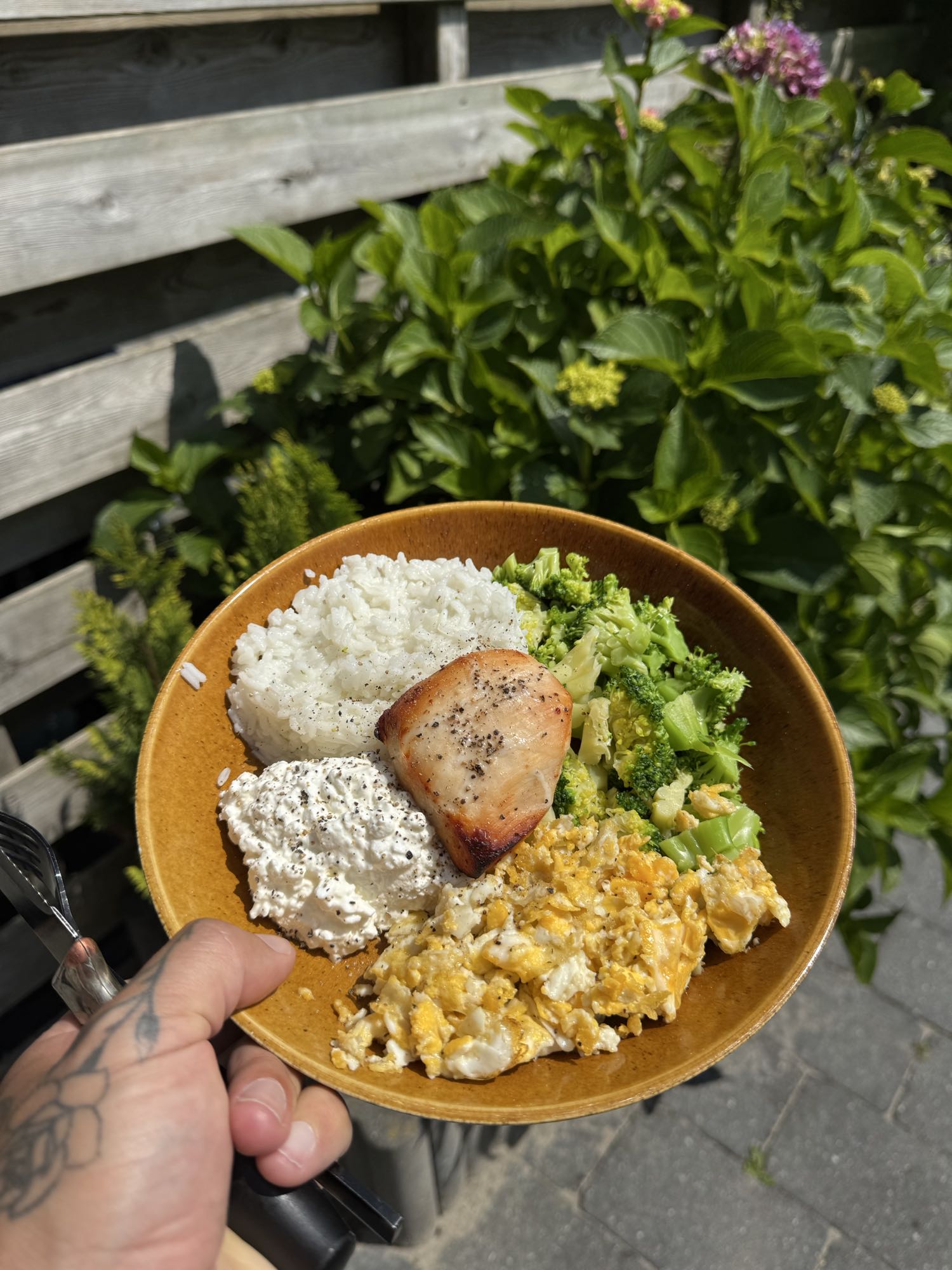 Kip met rijst en groente