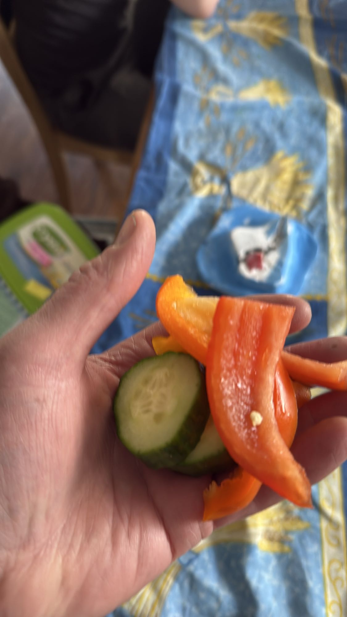 Légumes frais en main