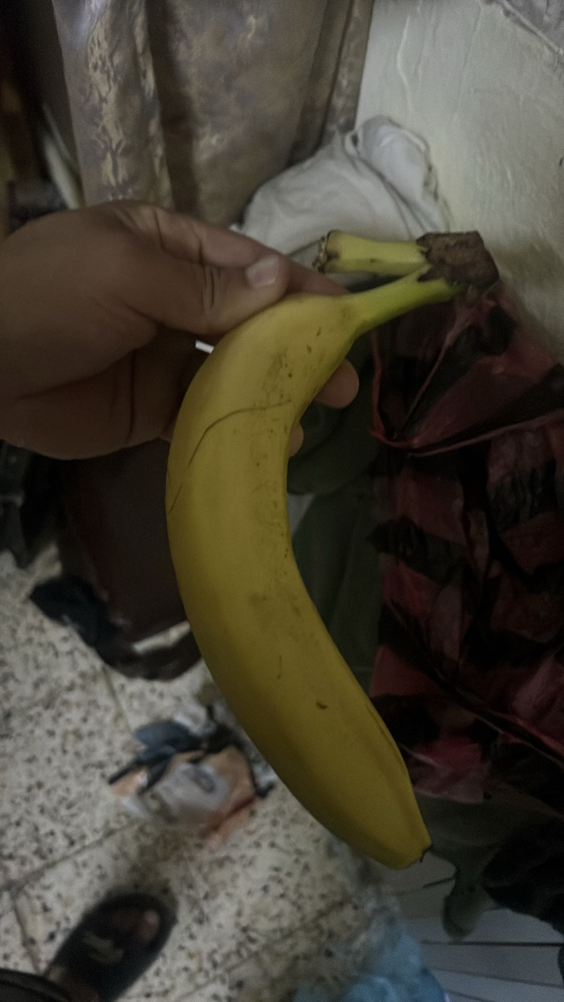 Single Banana