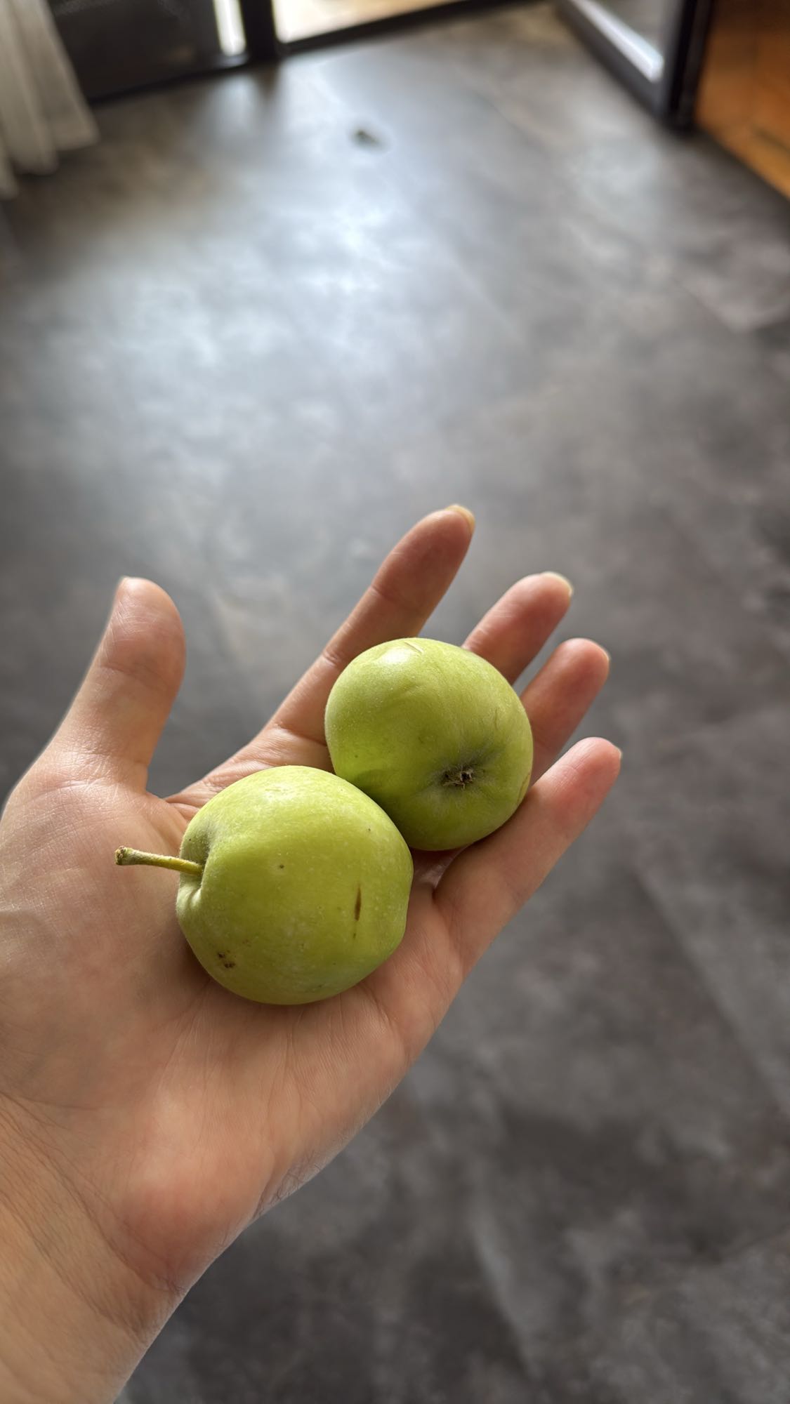 Green mini apples snack