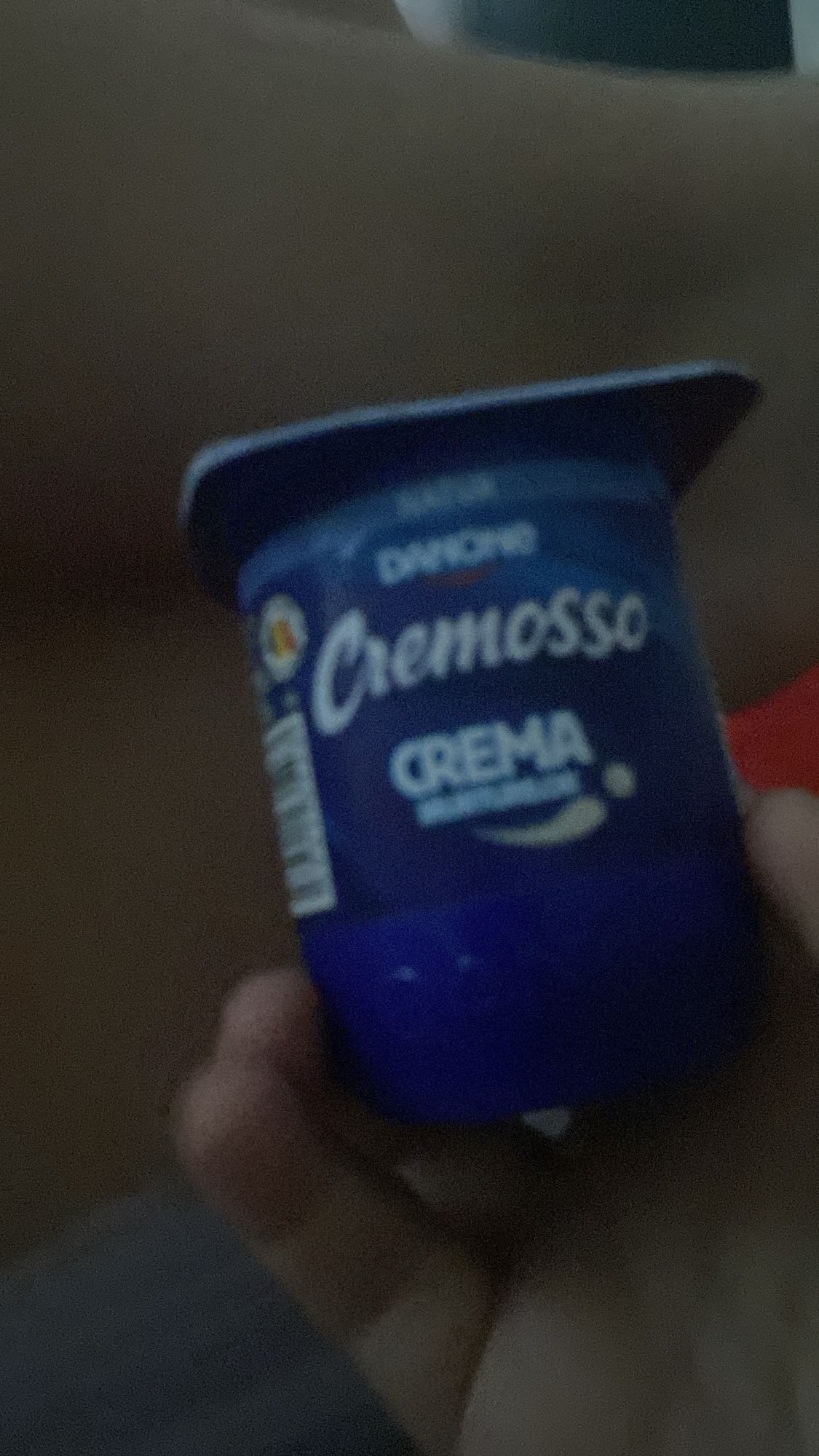 Iaurt Cremoso simplu