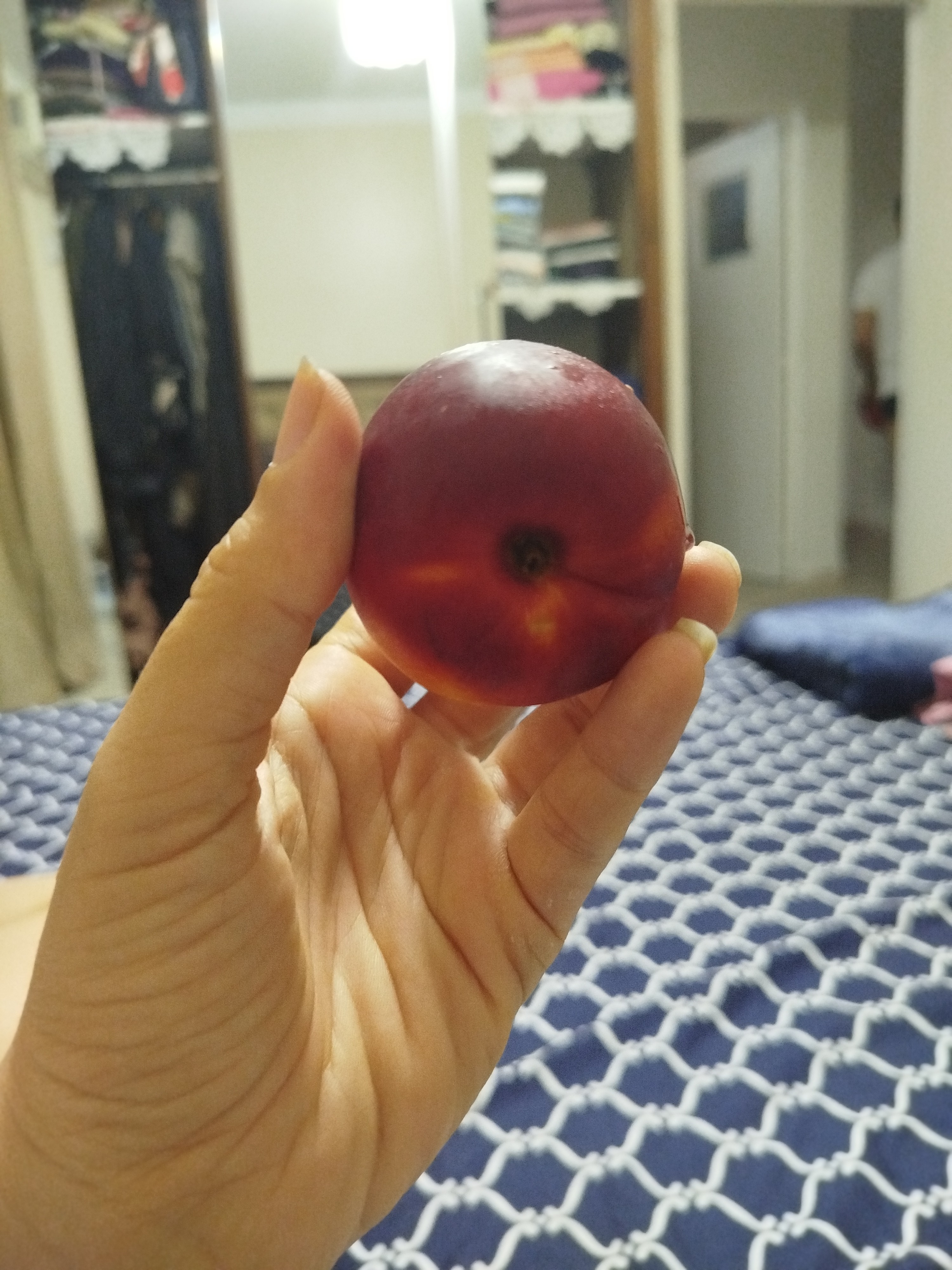 Nectarine fraîche