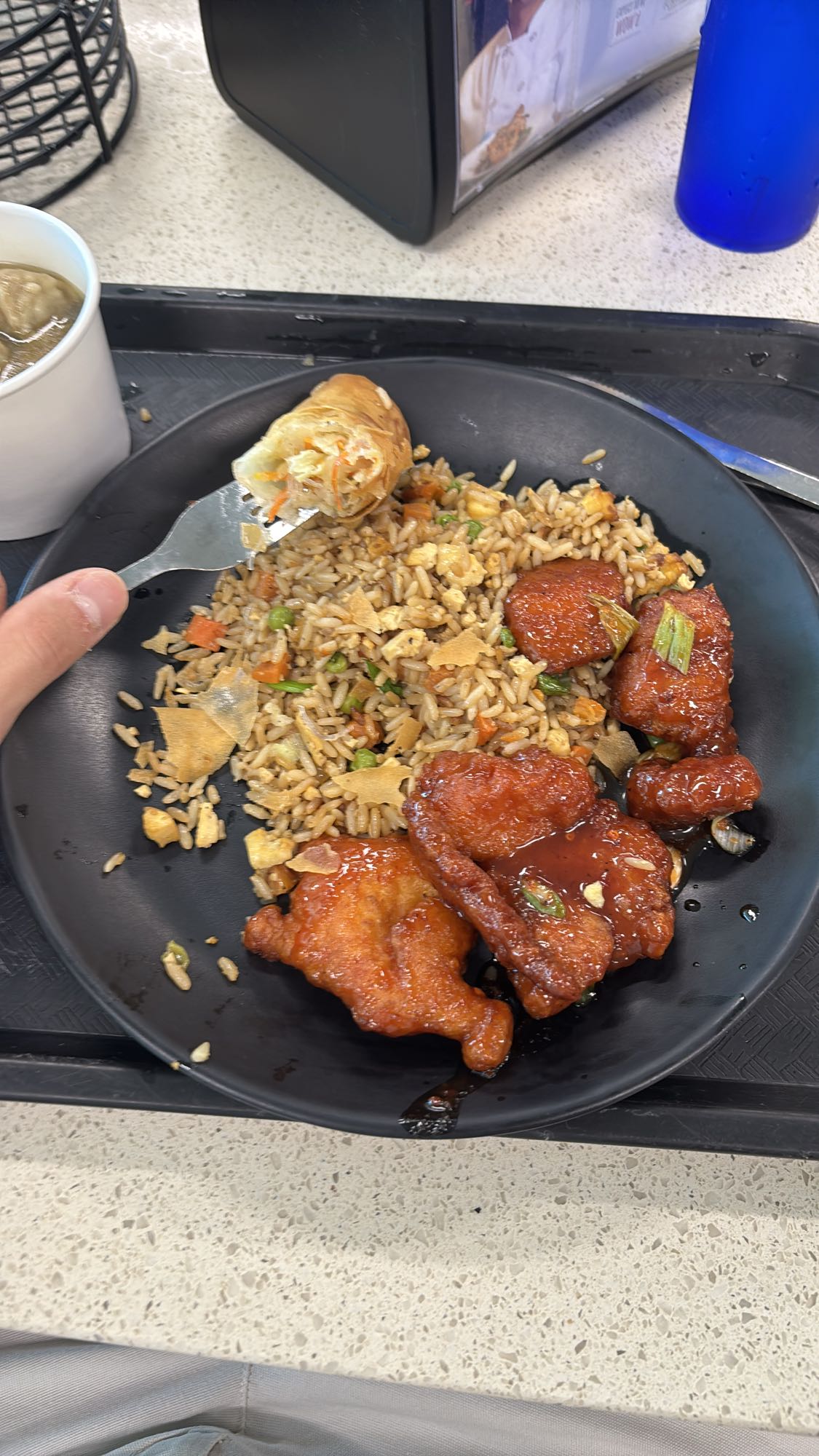 pollo agridulce con arroz frito