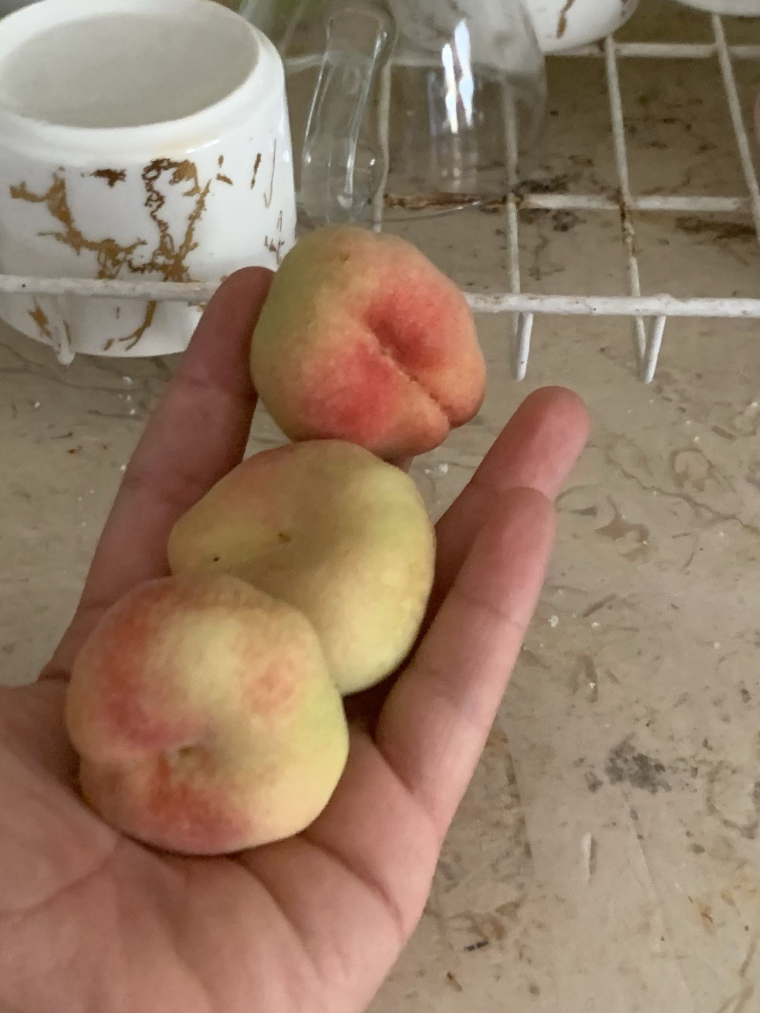 خوخ مسطح طازج