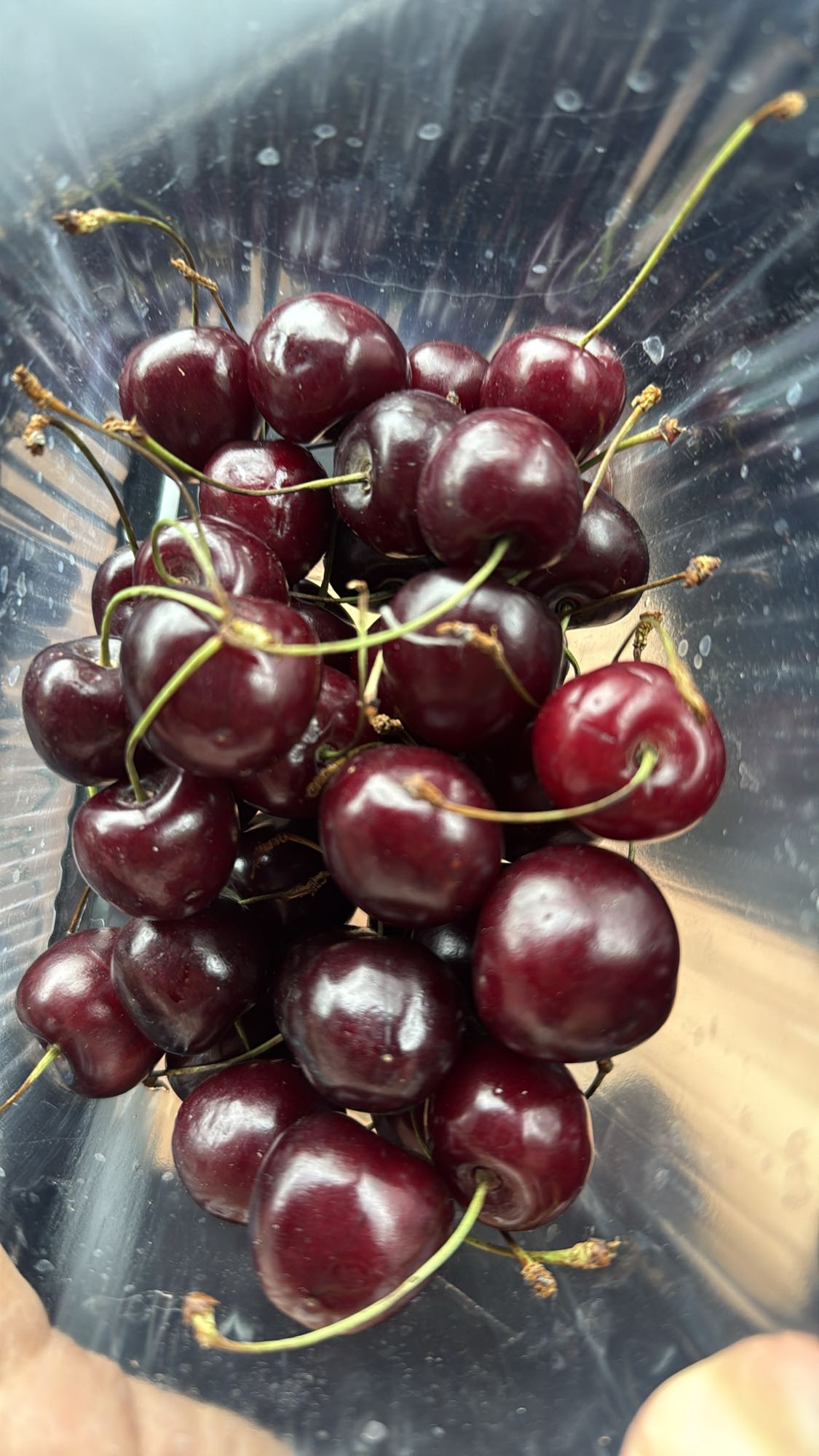 Свежая черешня