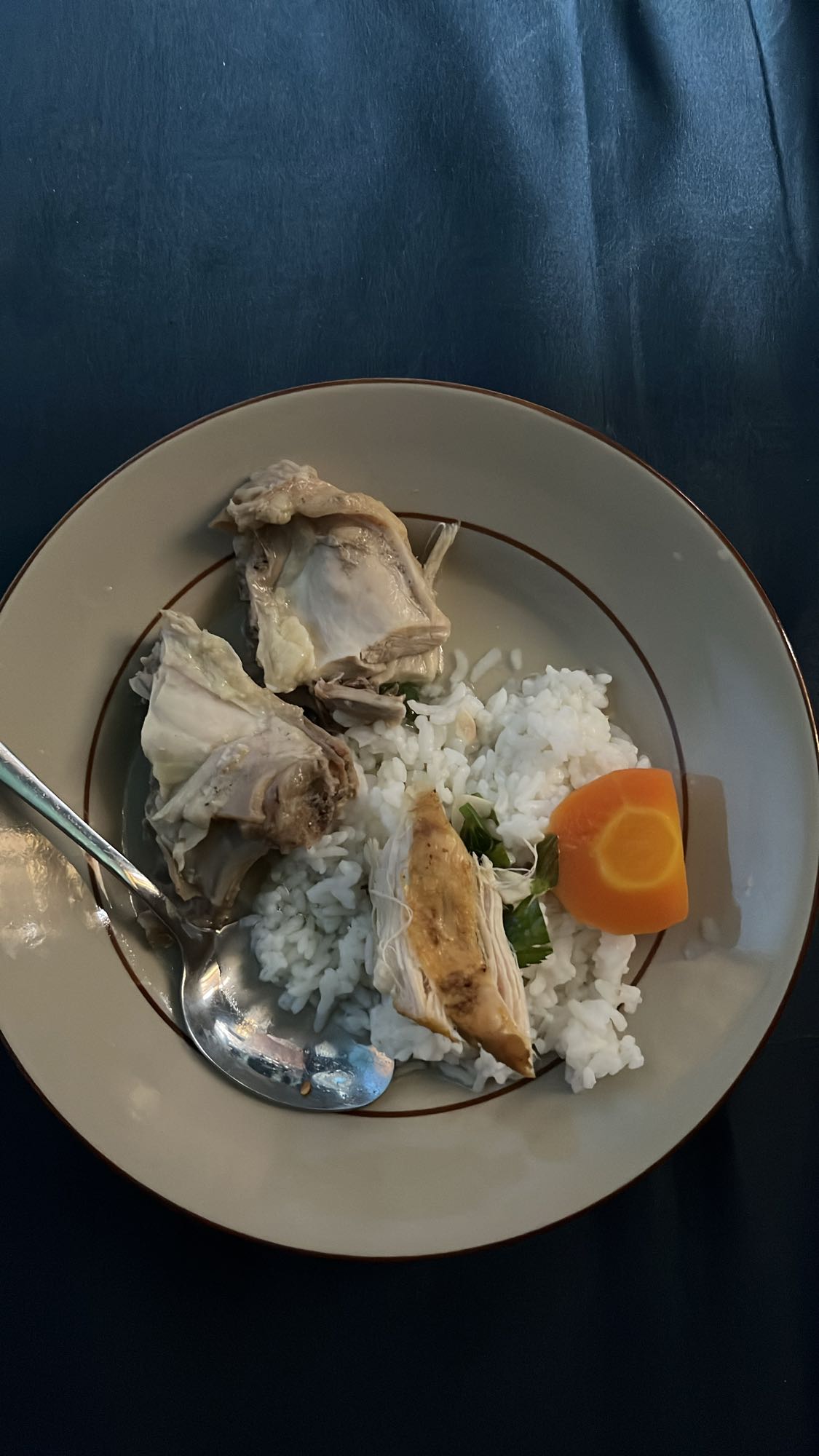 Nasi ayam rebus