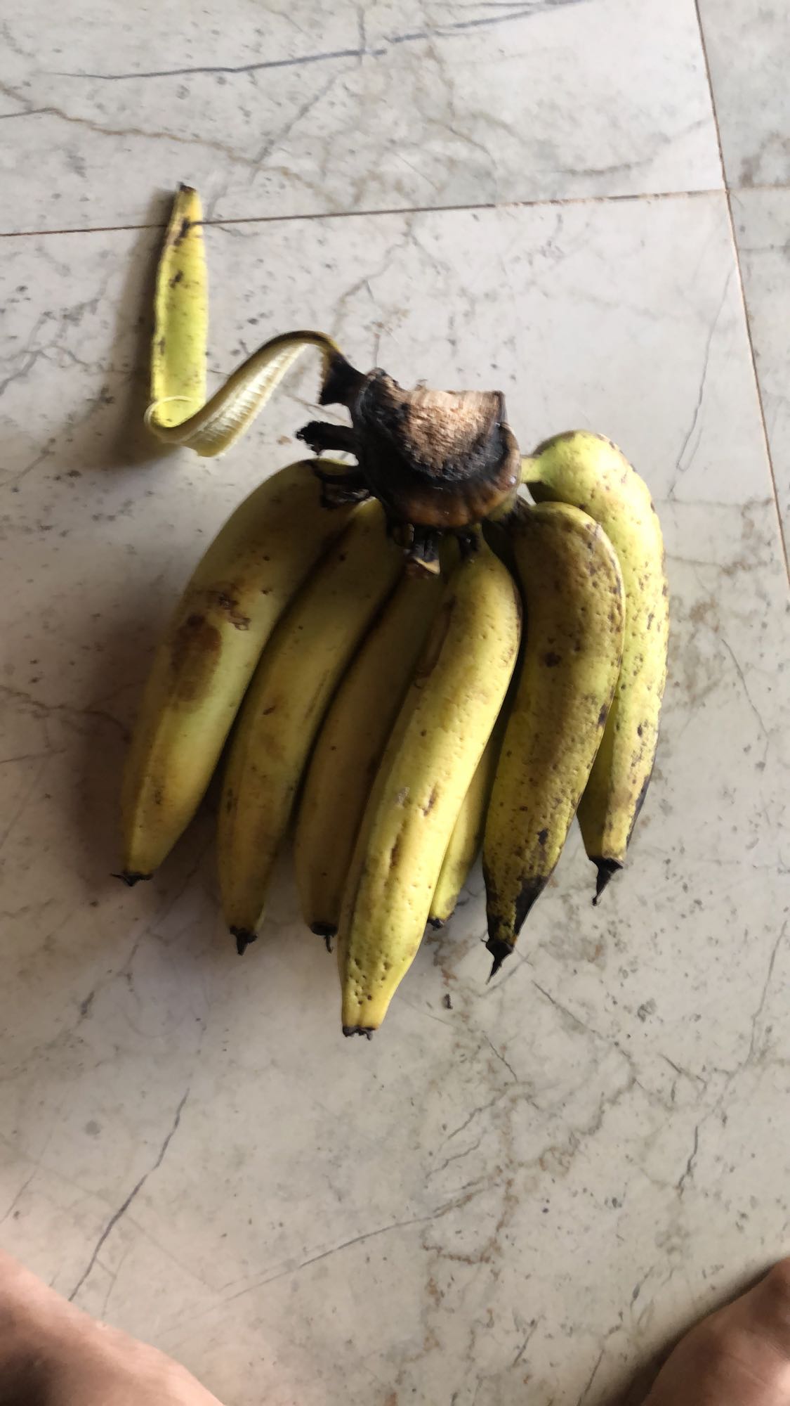 Bunch of Bananas