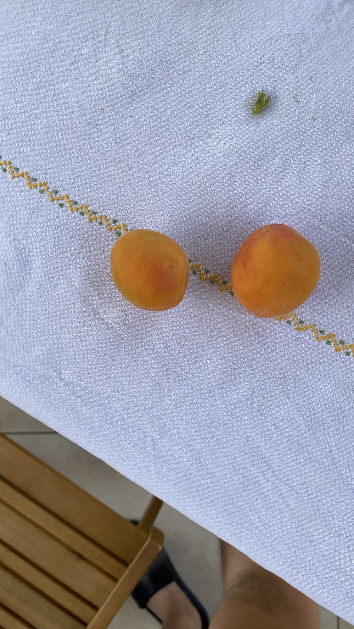 abricots frais