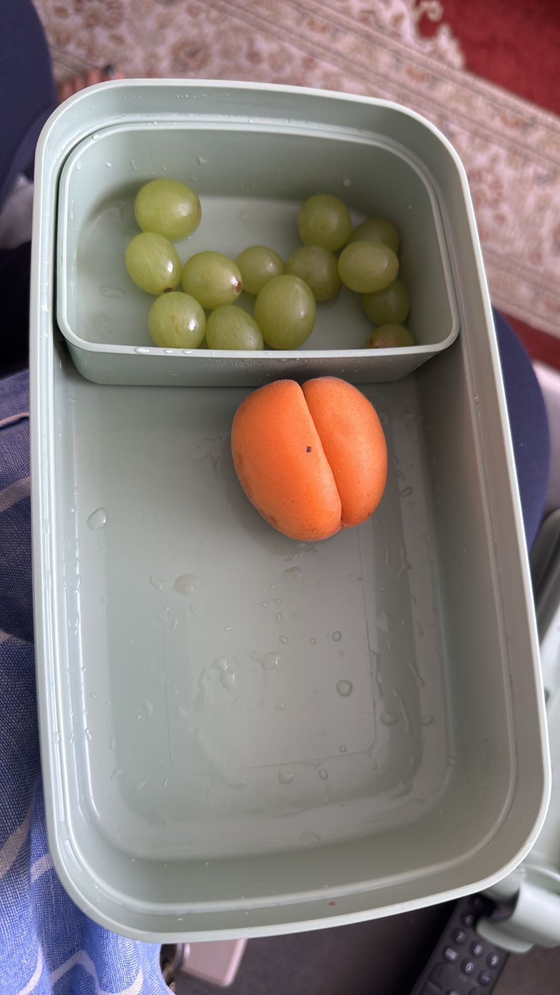 Fruit snack box