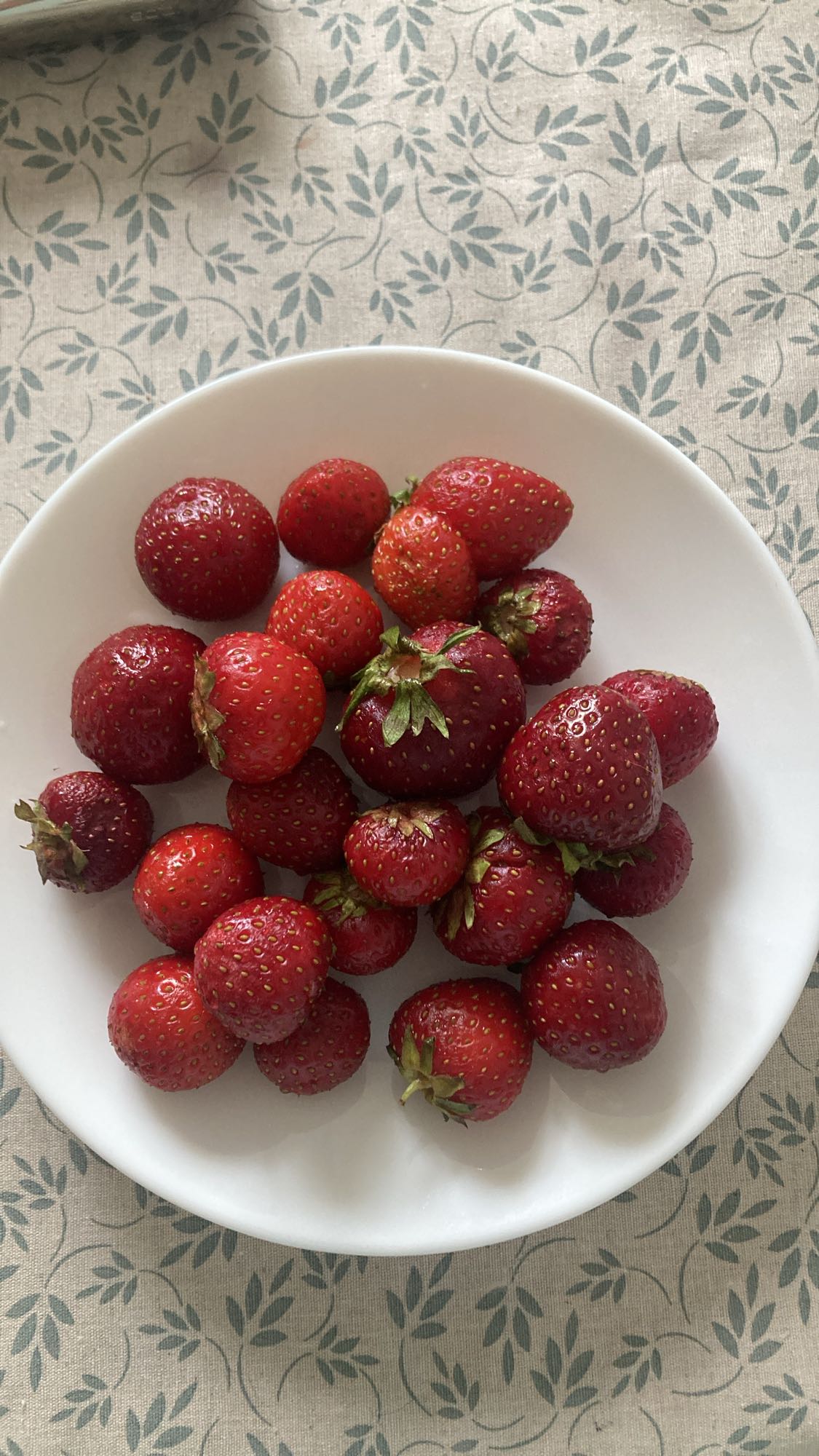 Fresh Strawberries Bowl
