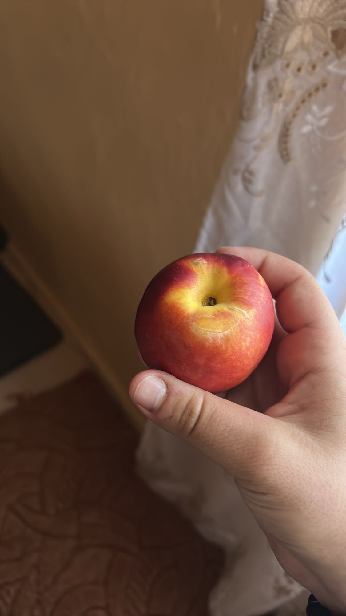 Nectarina proaspătă