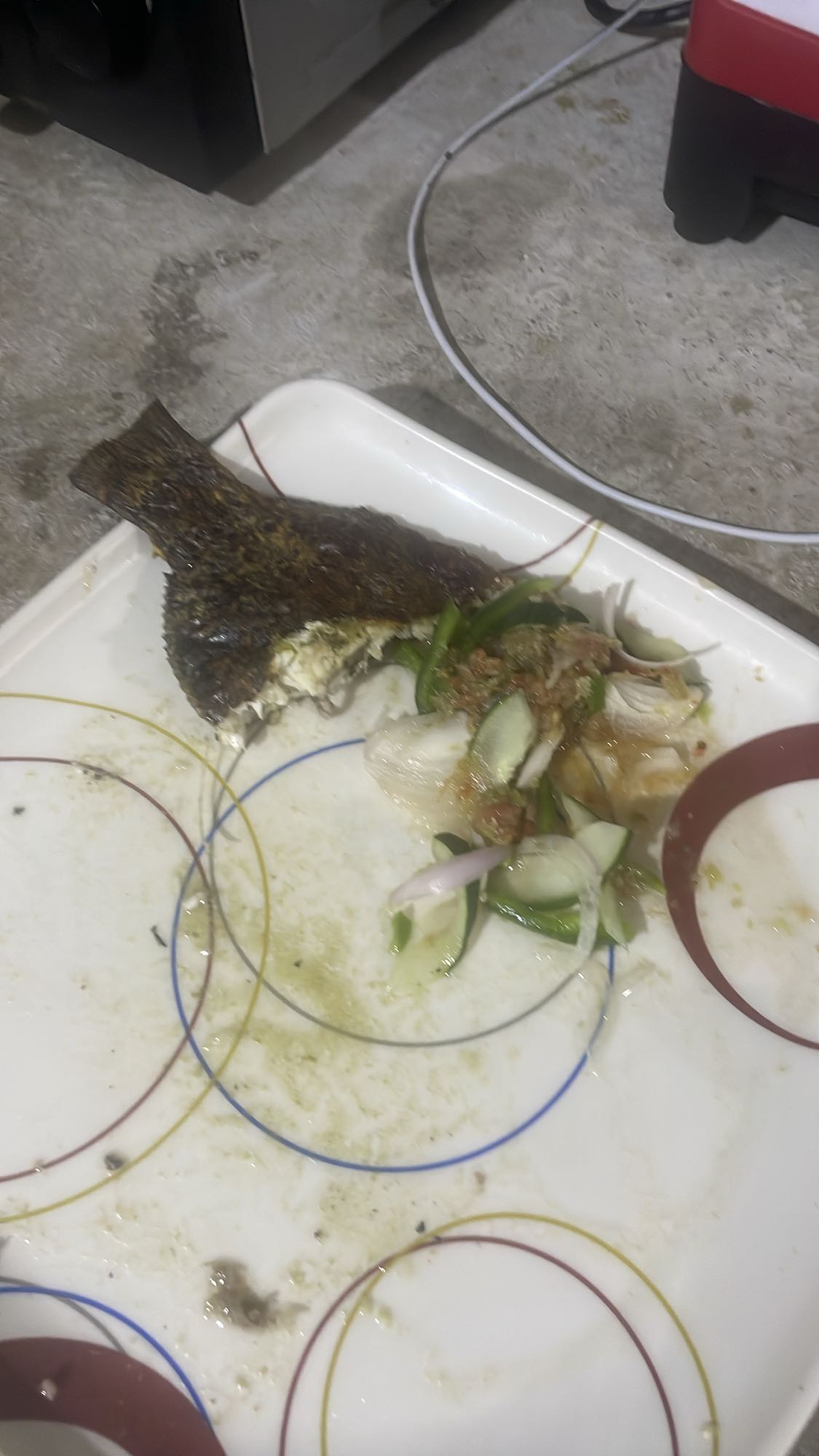 Grilled fish with salad