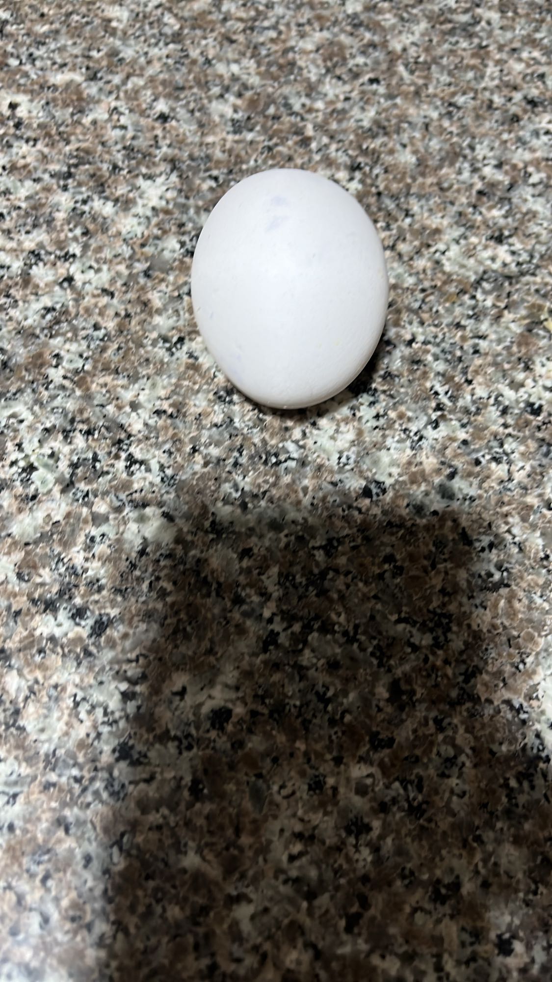 بيضة مسلوقة