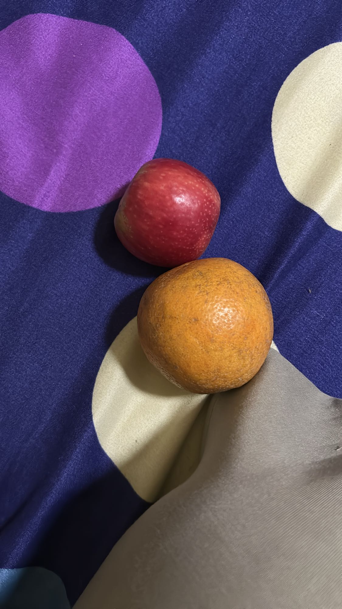 Apple and Orange Snack