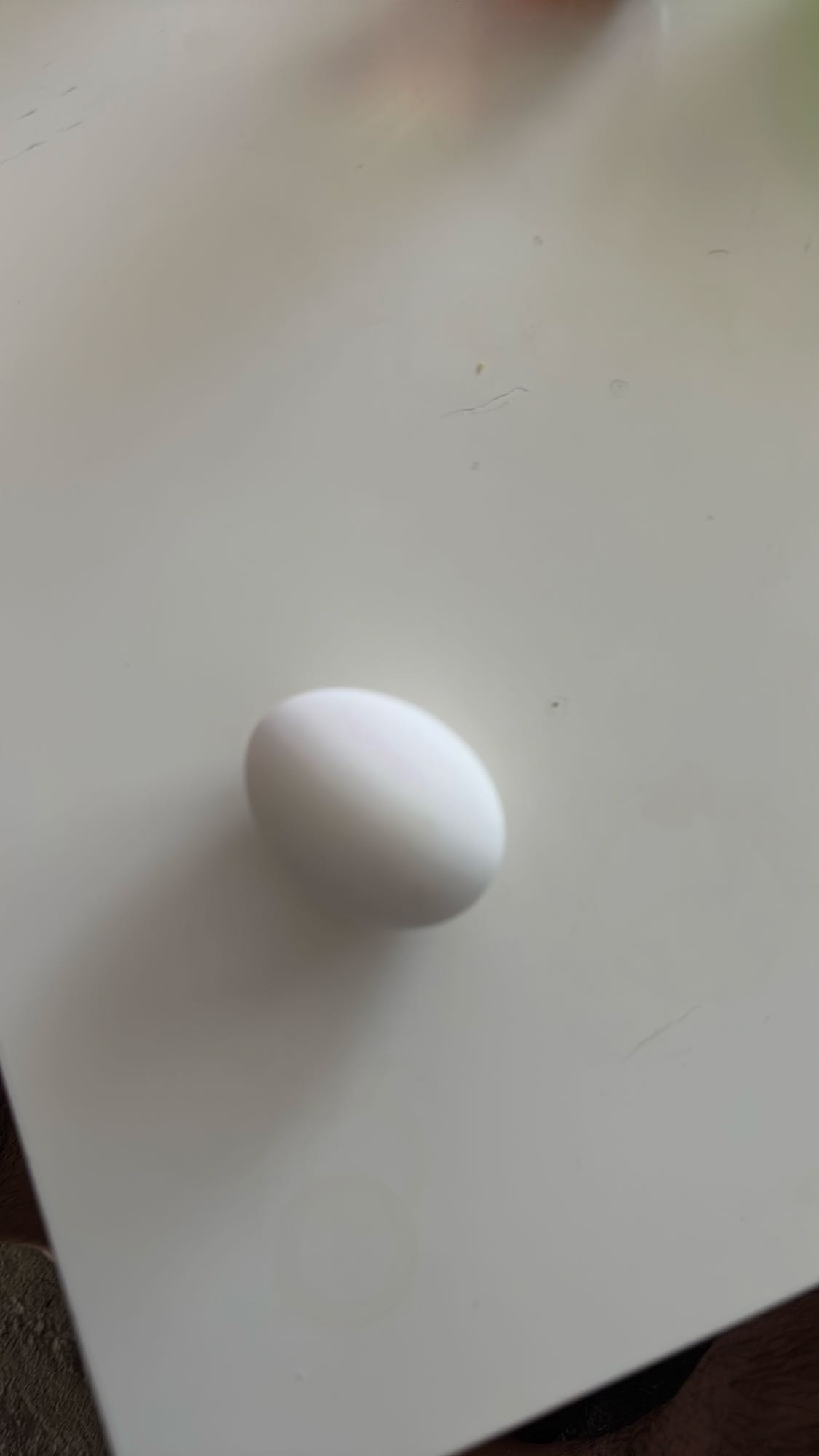 Haşlanmış Yumurta