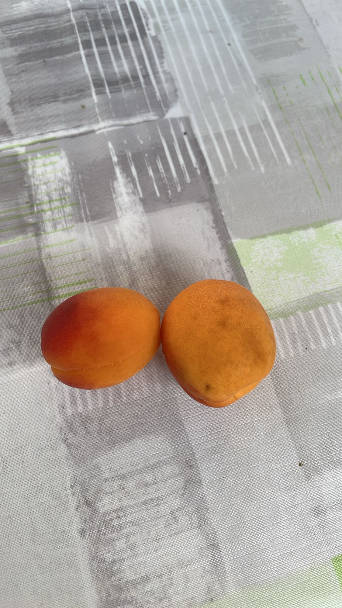 Abricots frais