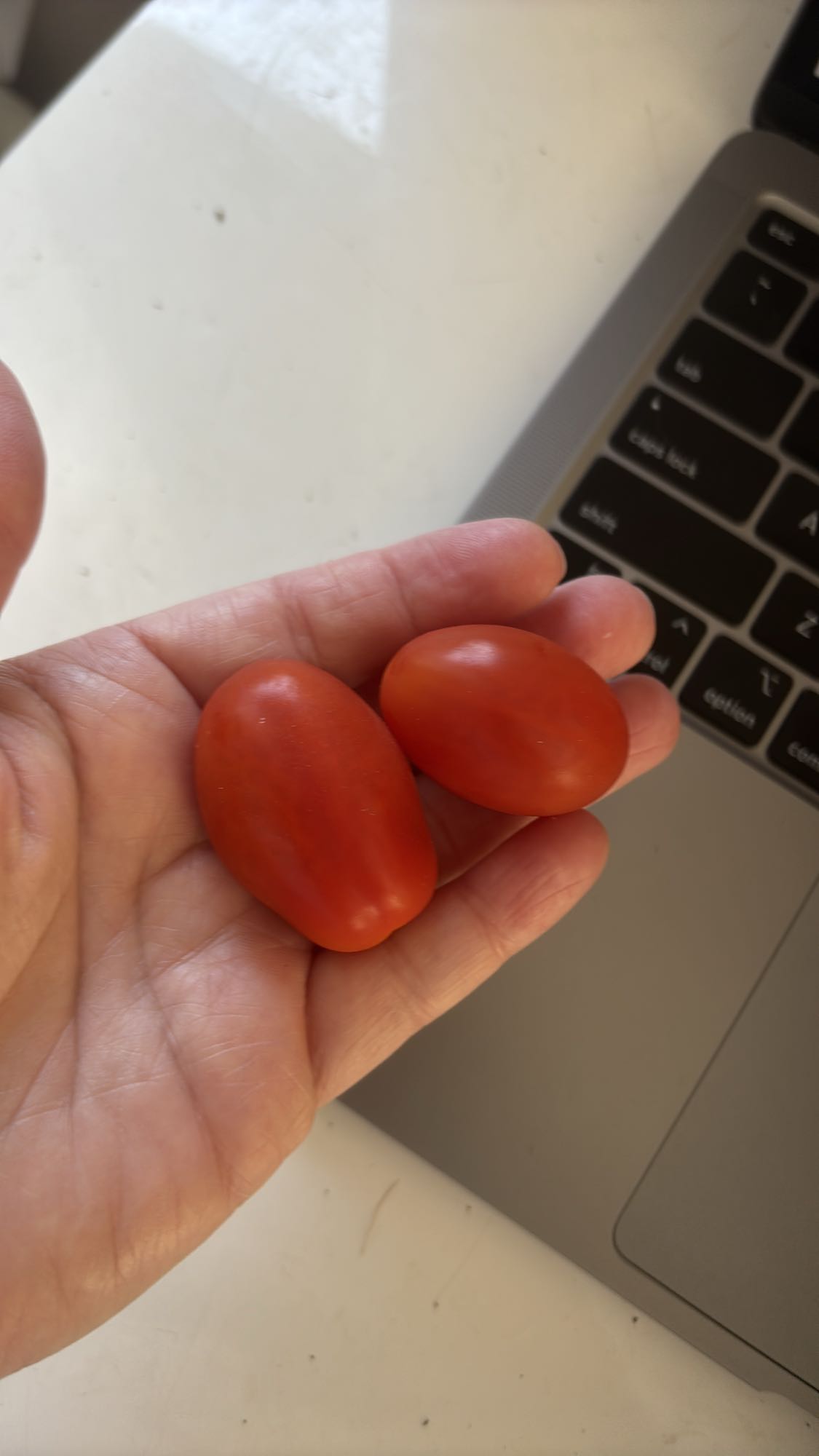 dwa pomidory koktajlowe