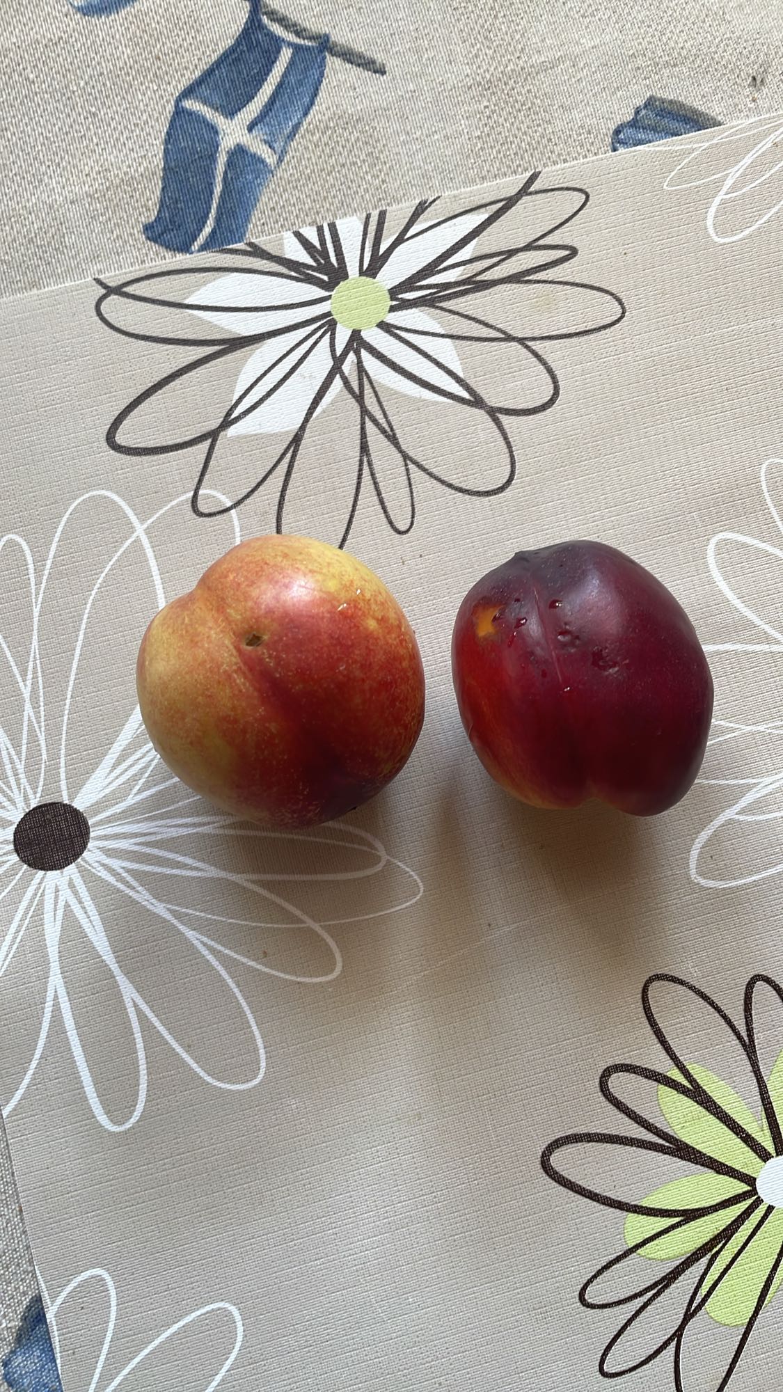 Două nectarine proaspete