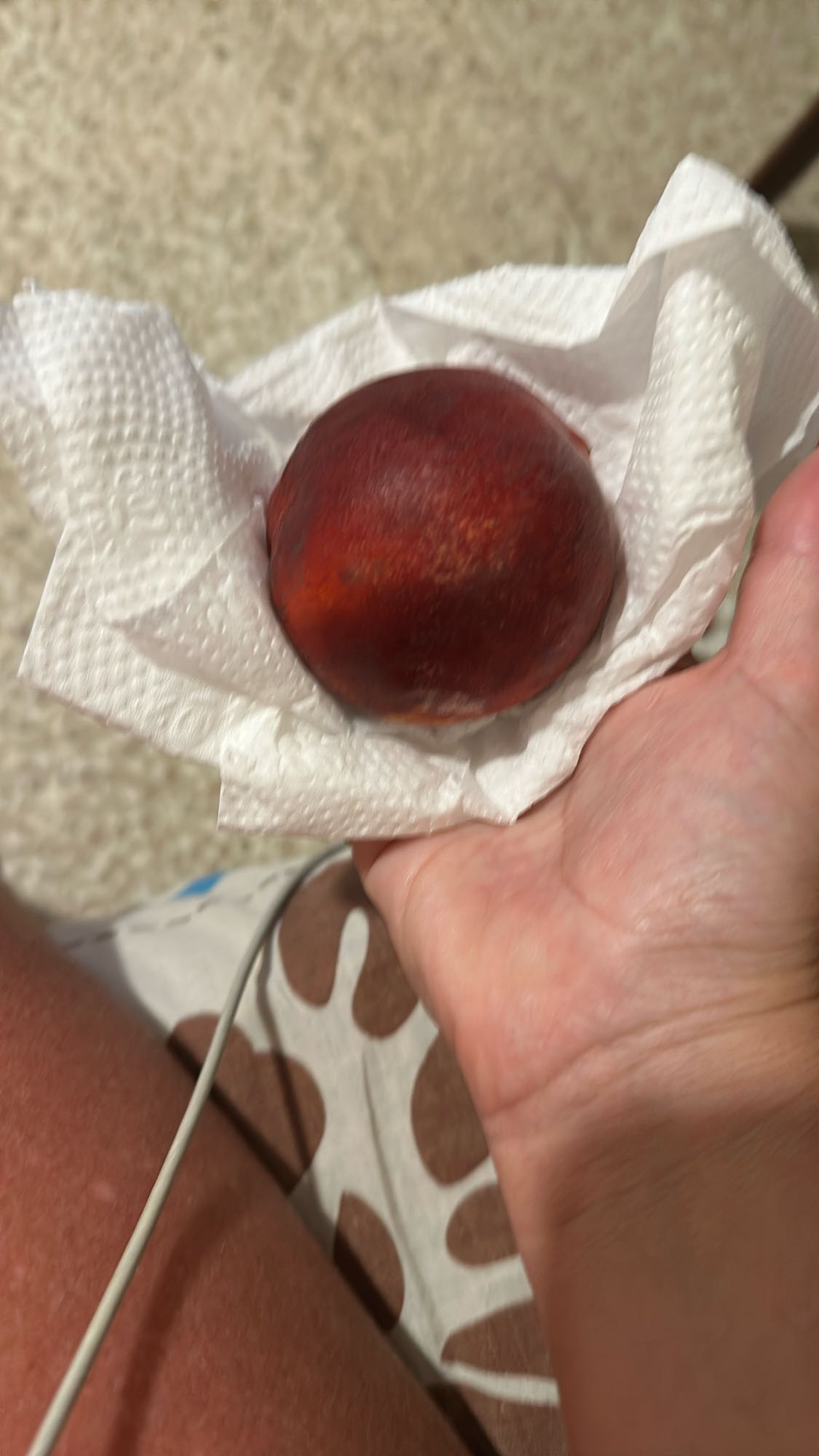 Whole nectarine snack