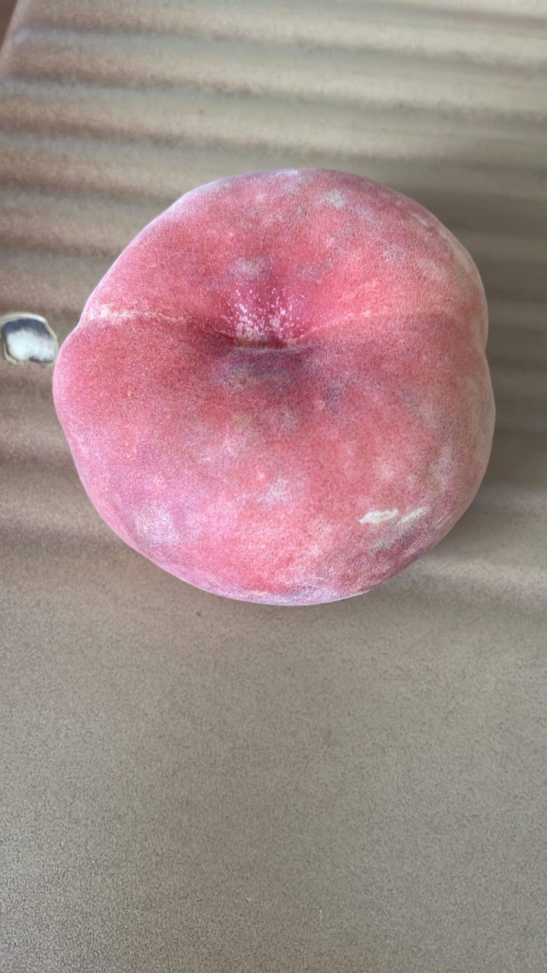 Pêche plate fraîche