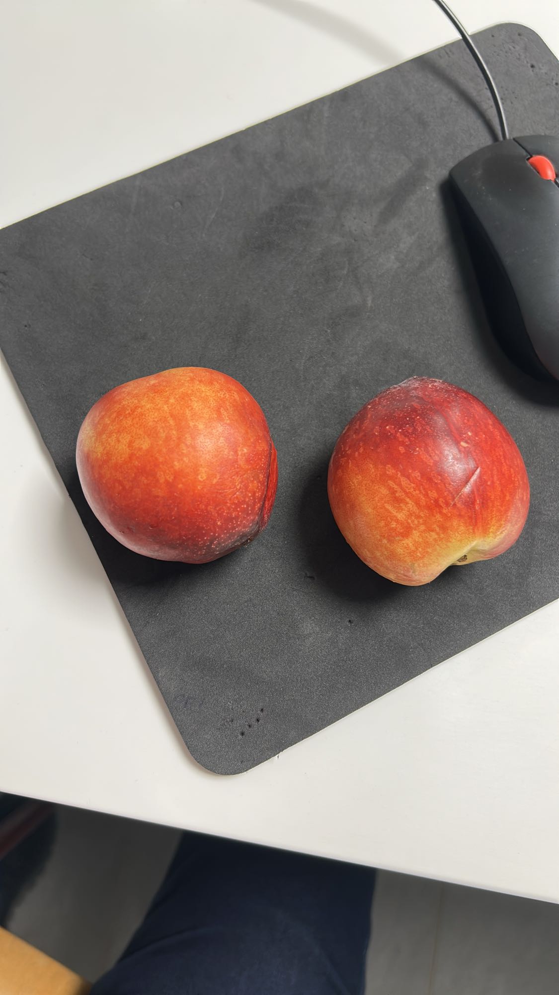 Deux nectarines fraîches