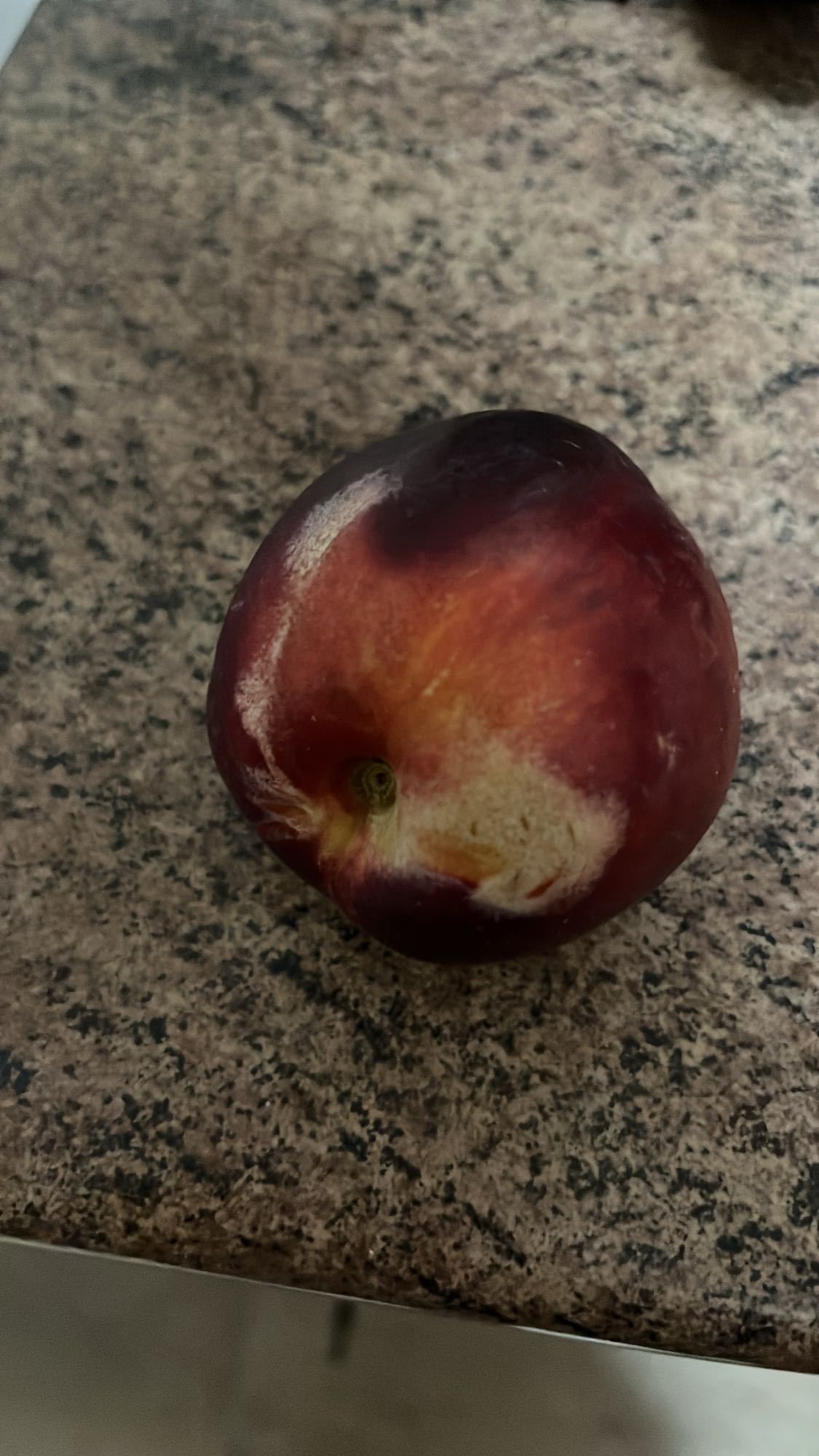 Nectarine fraîche