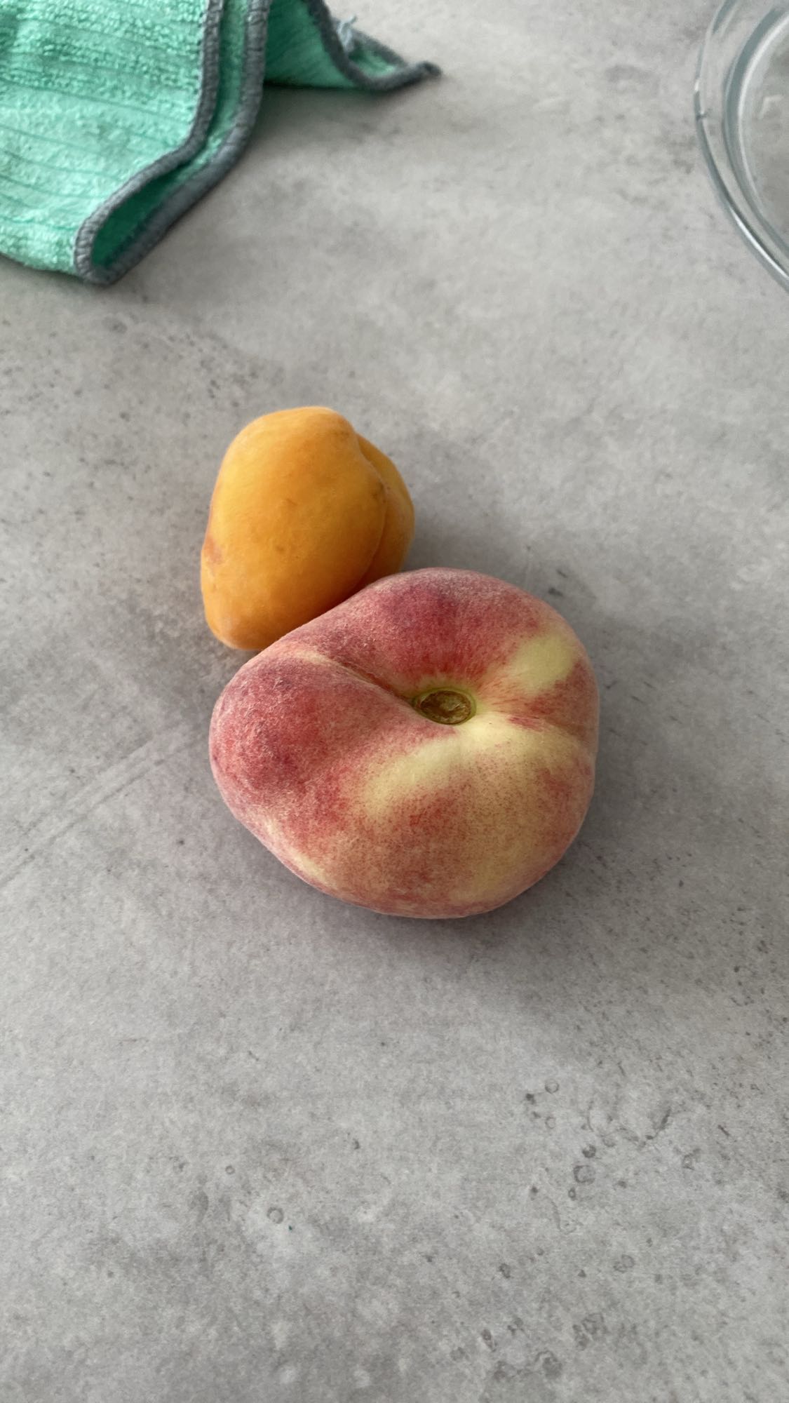 Pfirsich und Aprikose