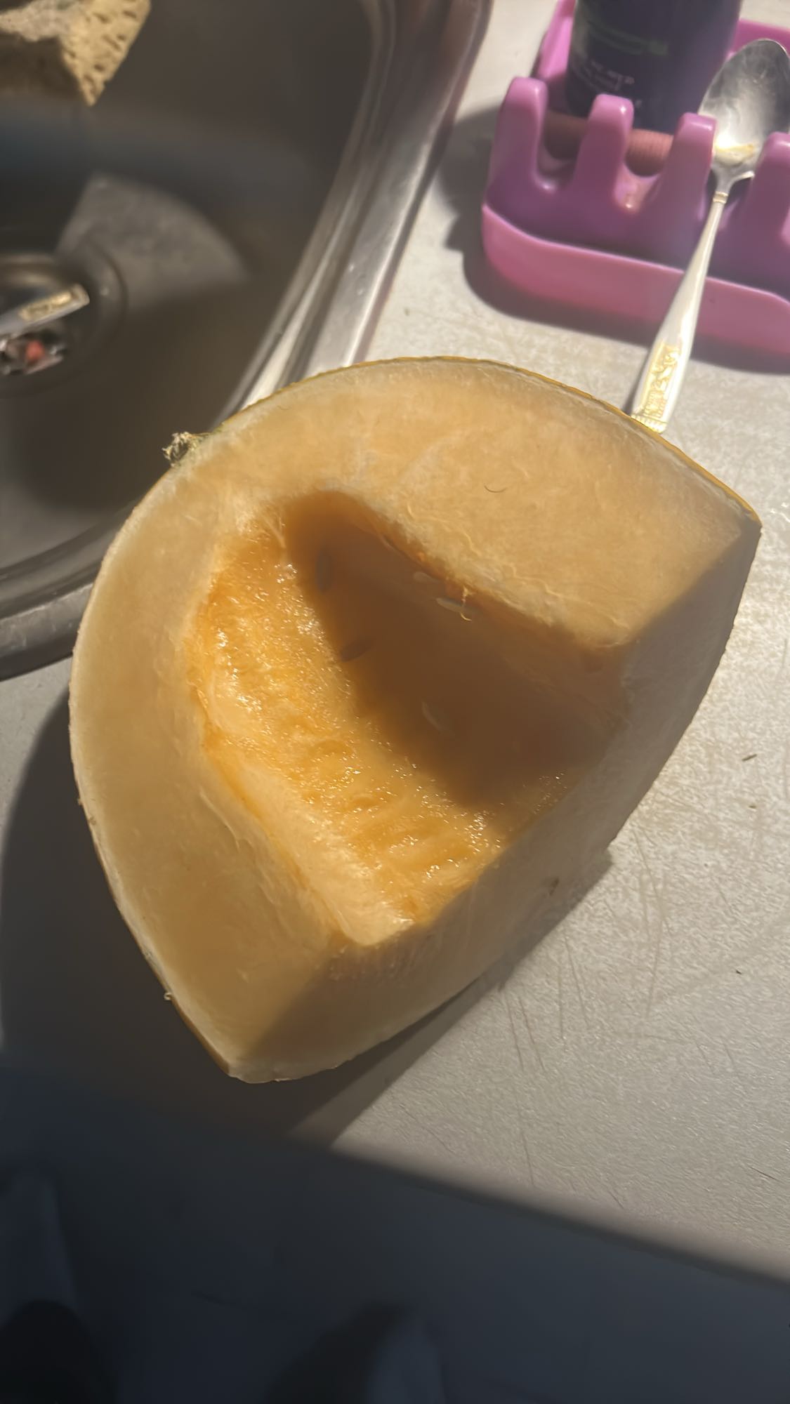 Cantaloupe Slice