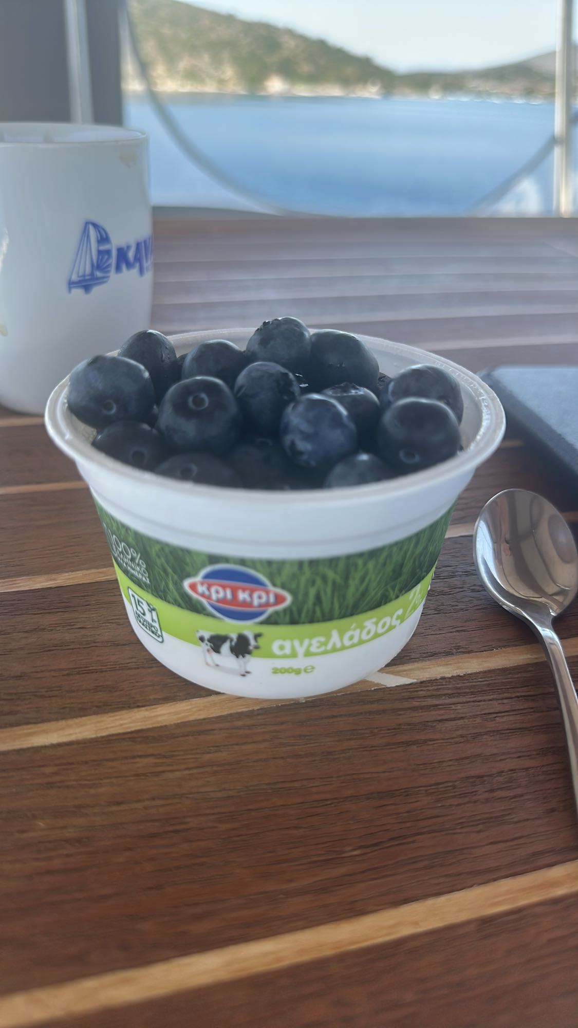 Greek yogurt with berries