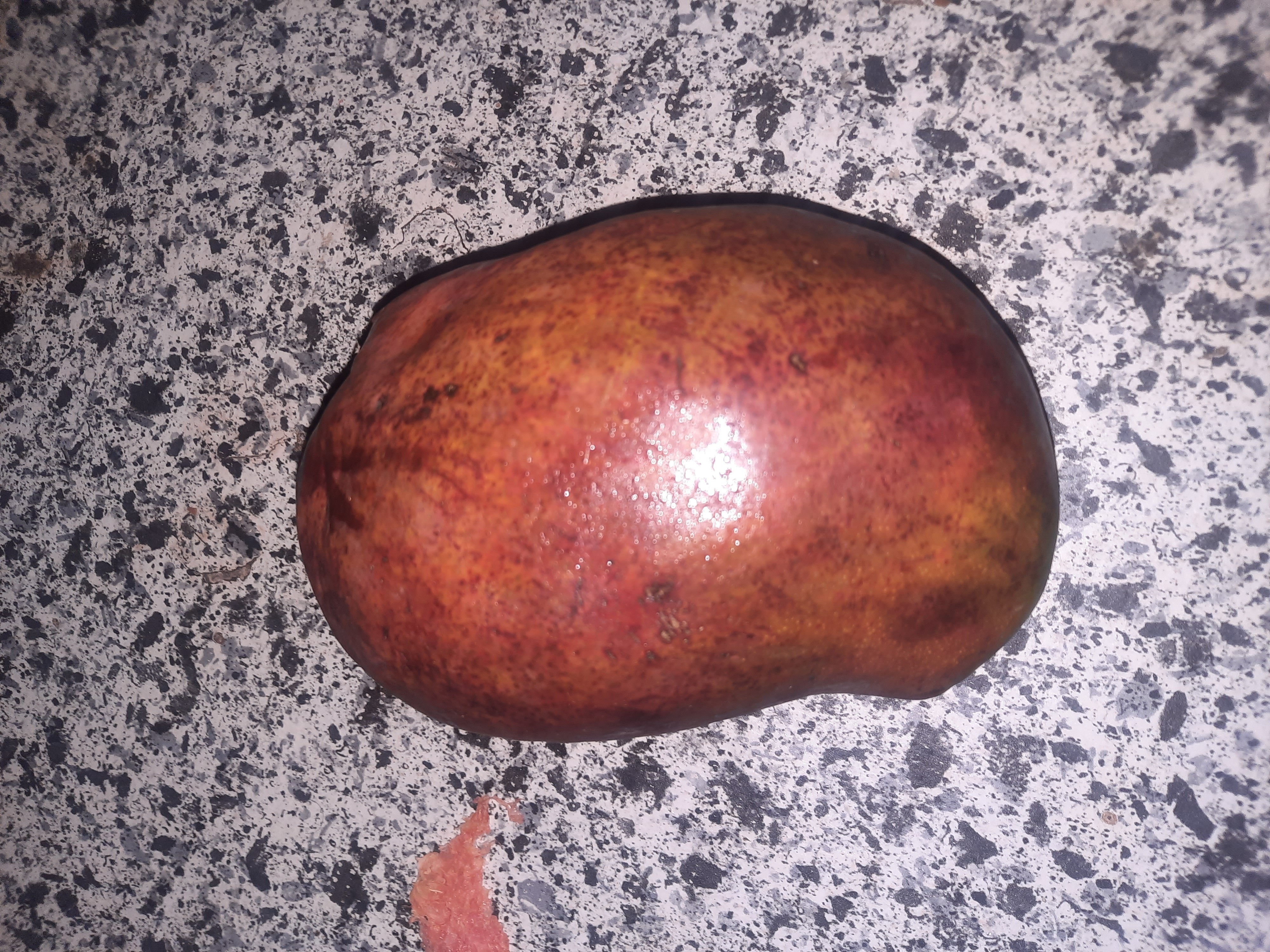 Whole Mango
