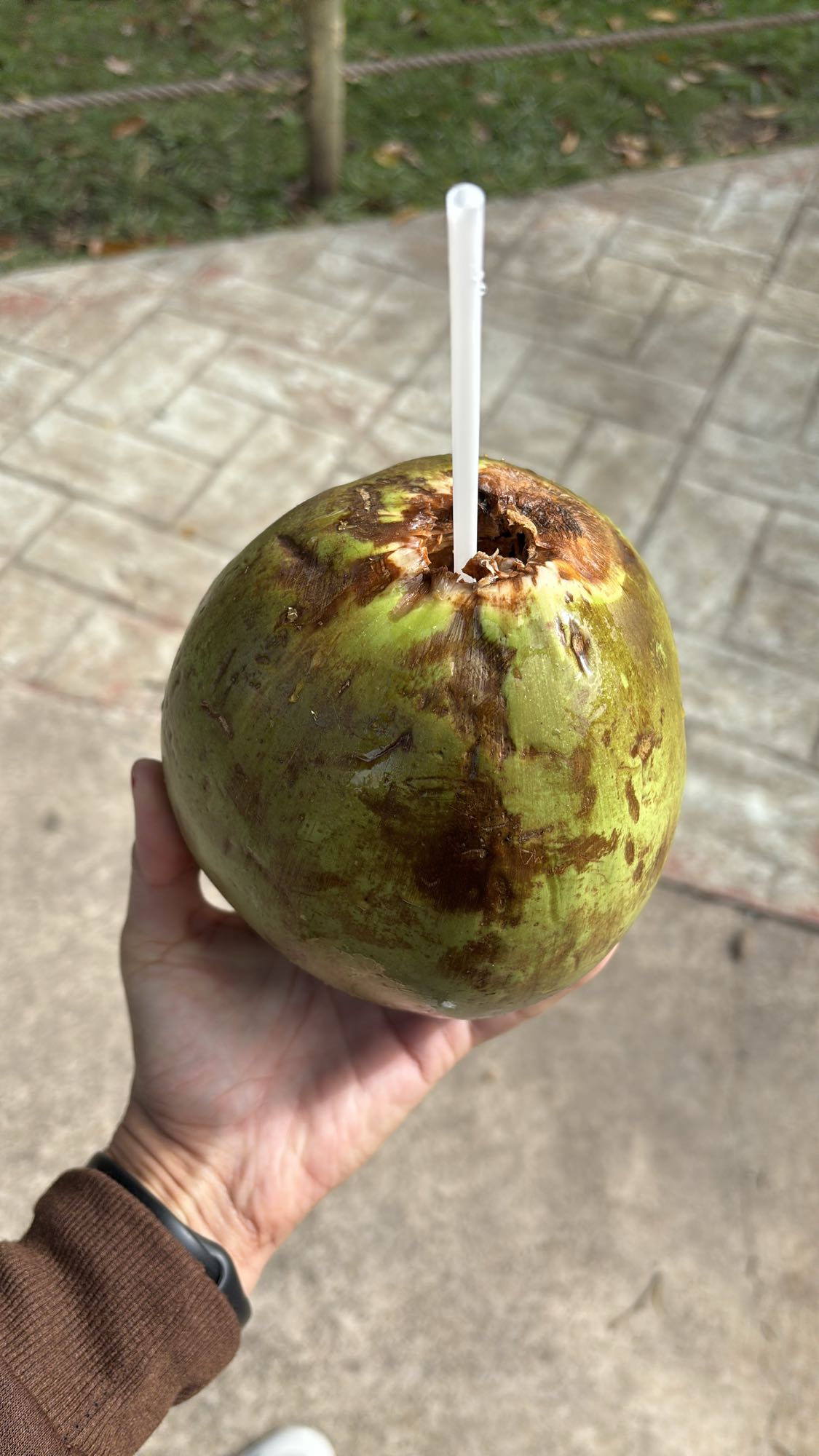 Água de coco fresca