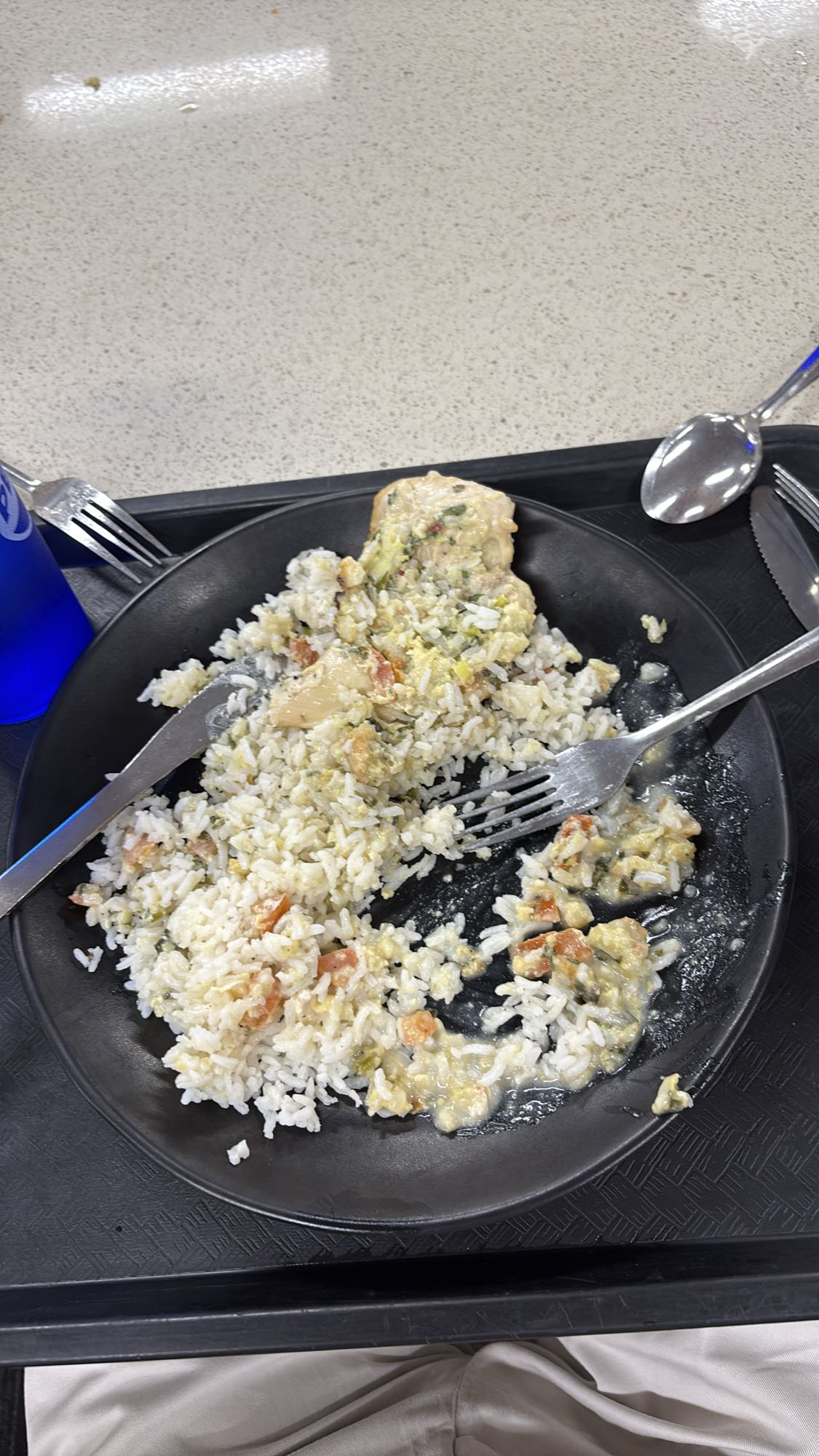 Pollo con arroz y verduras