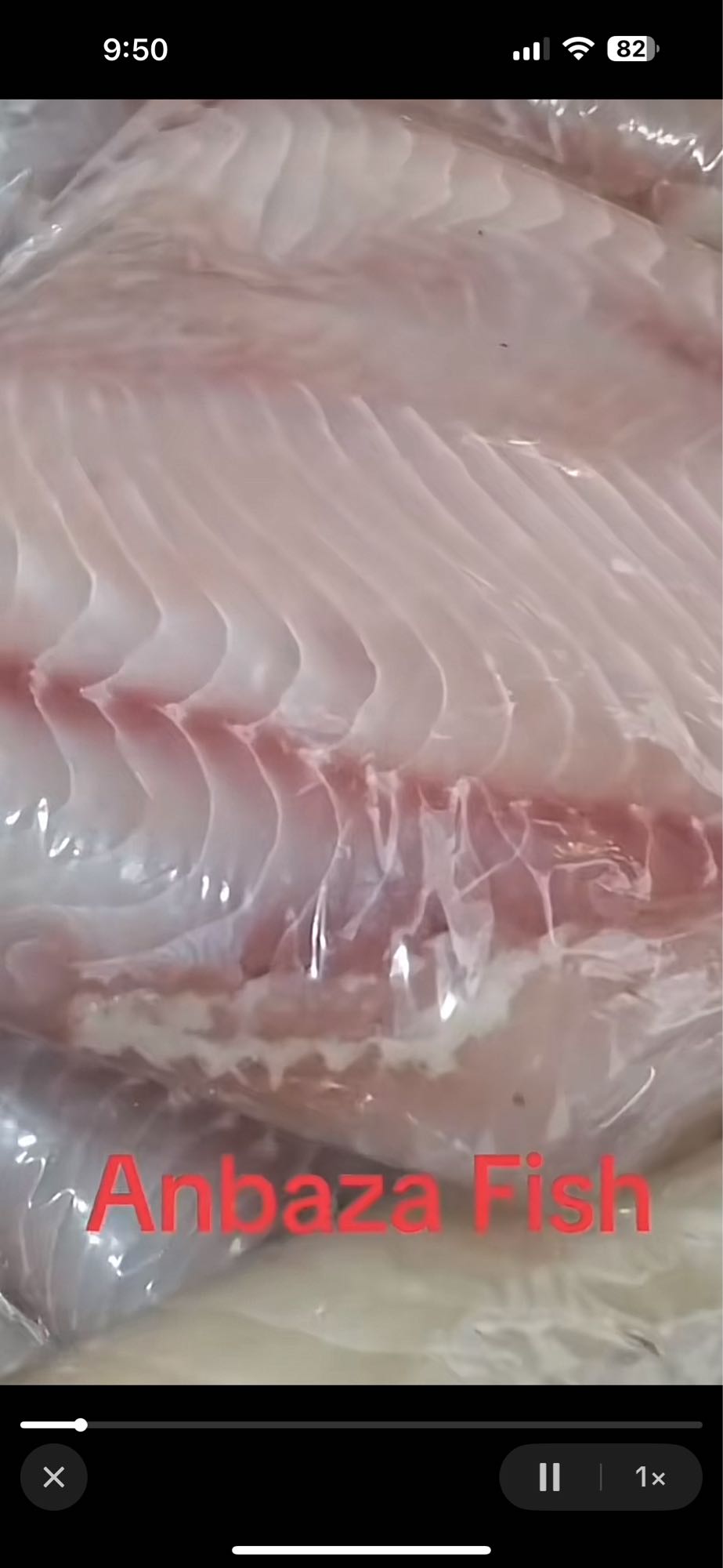 Anbaza Fish Fillet
