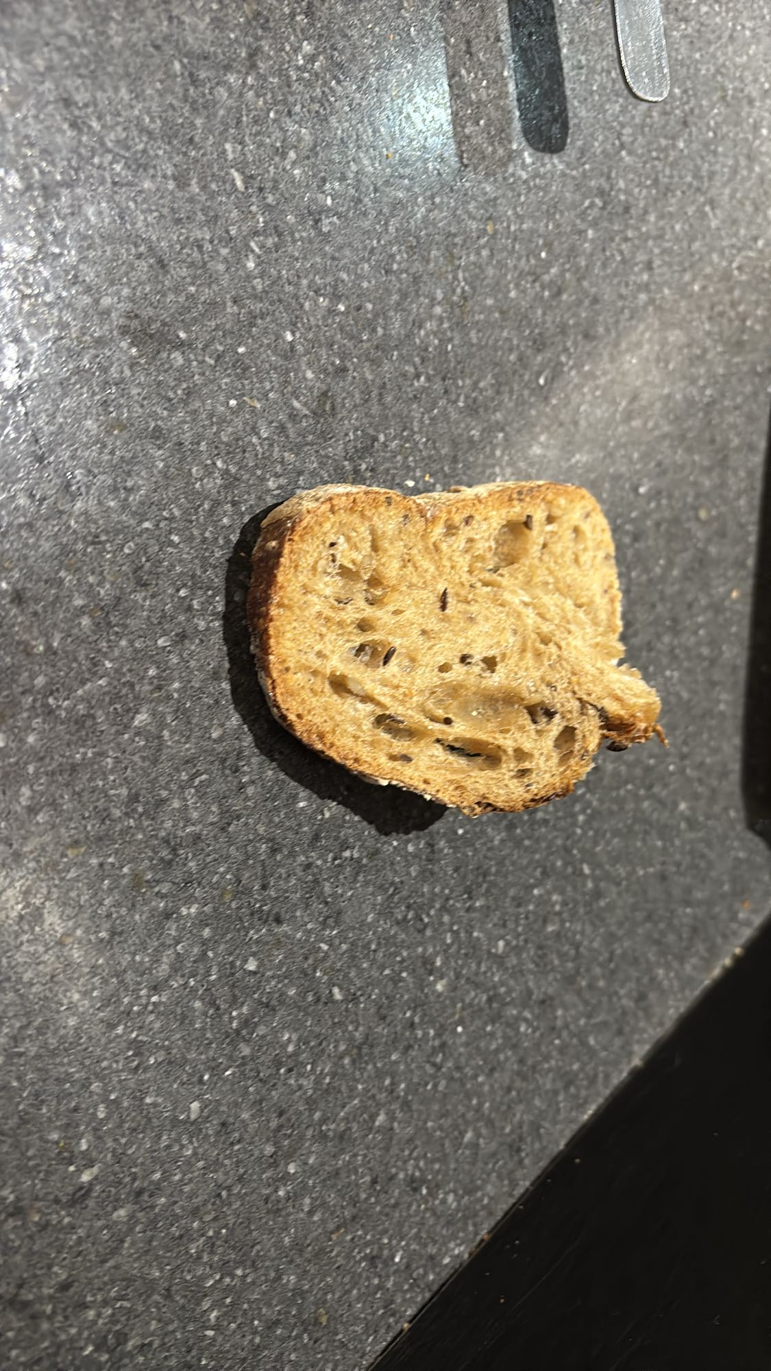 tranche de pain grillé