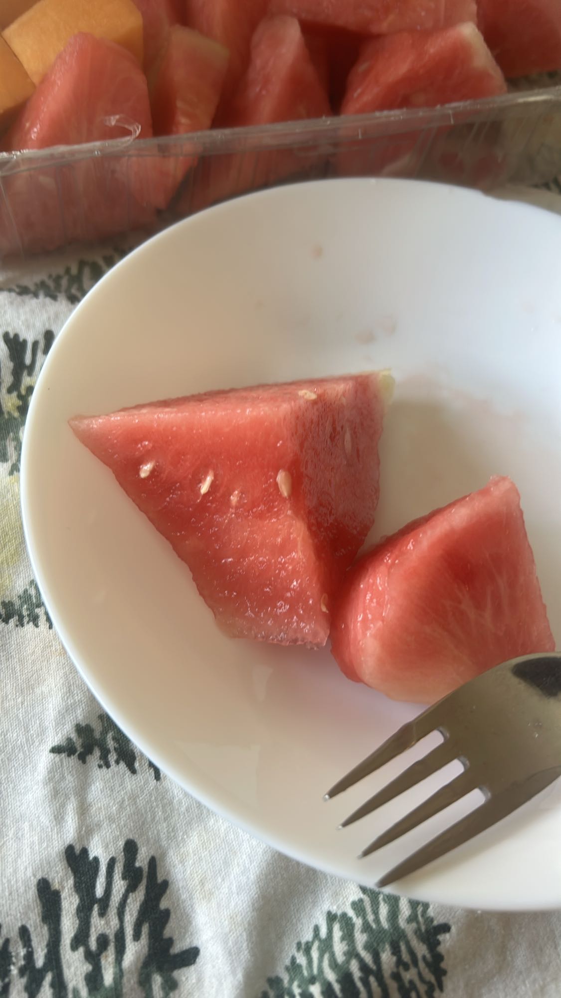 Vattenmelon och melonbitar