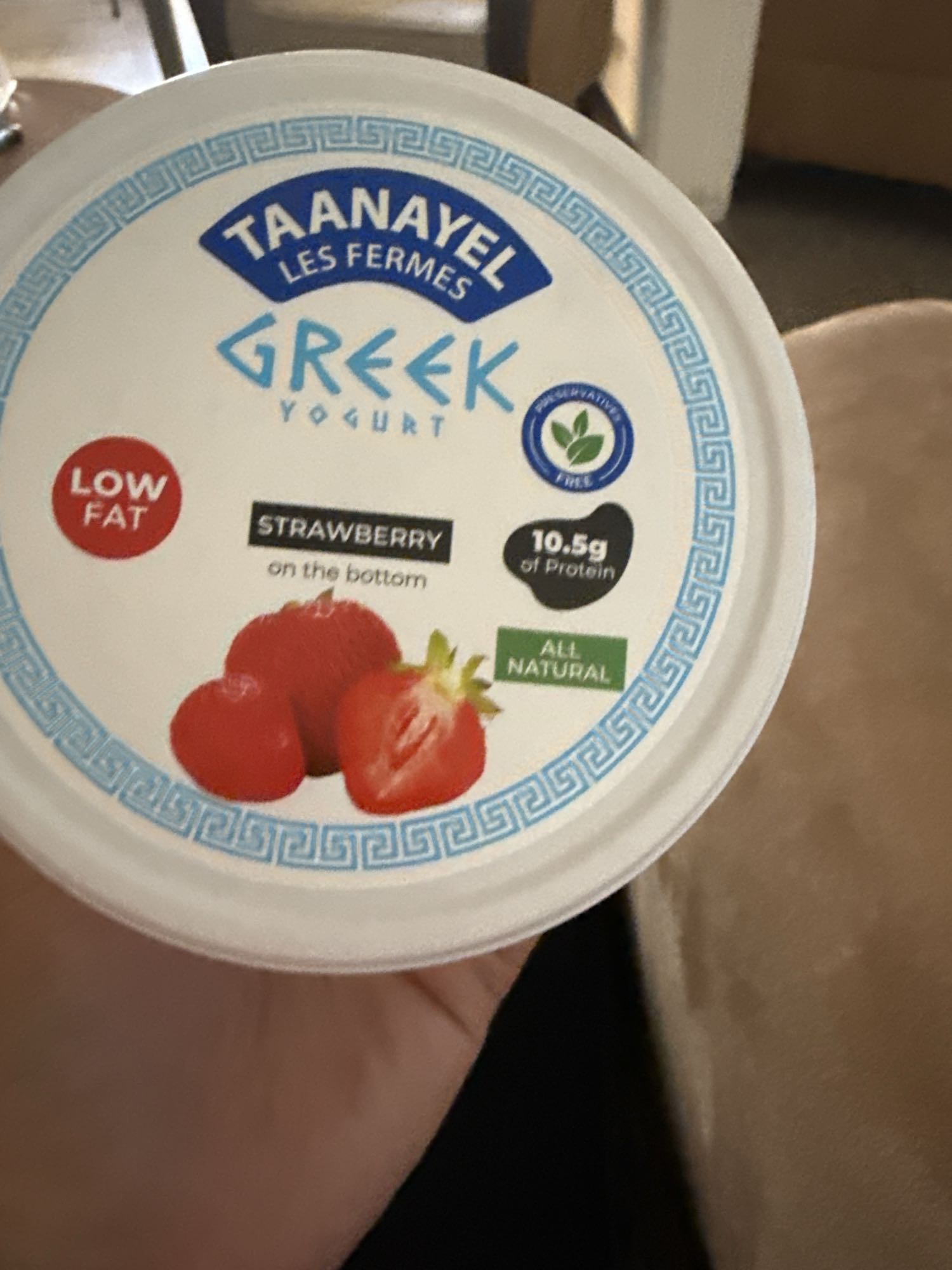 Strawberry Greek Yogurt