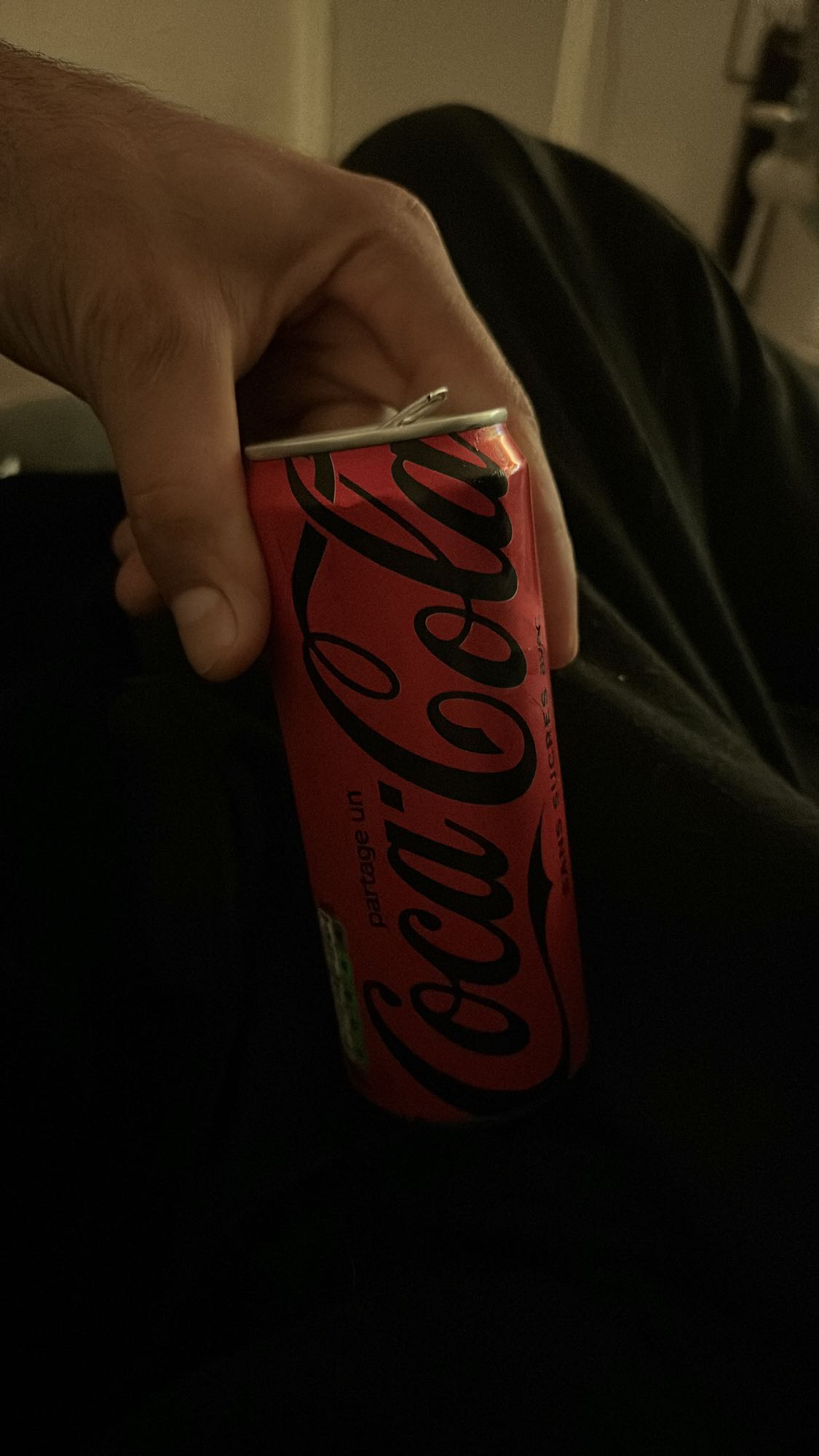 Canette de Coca-Cola