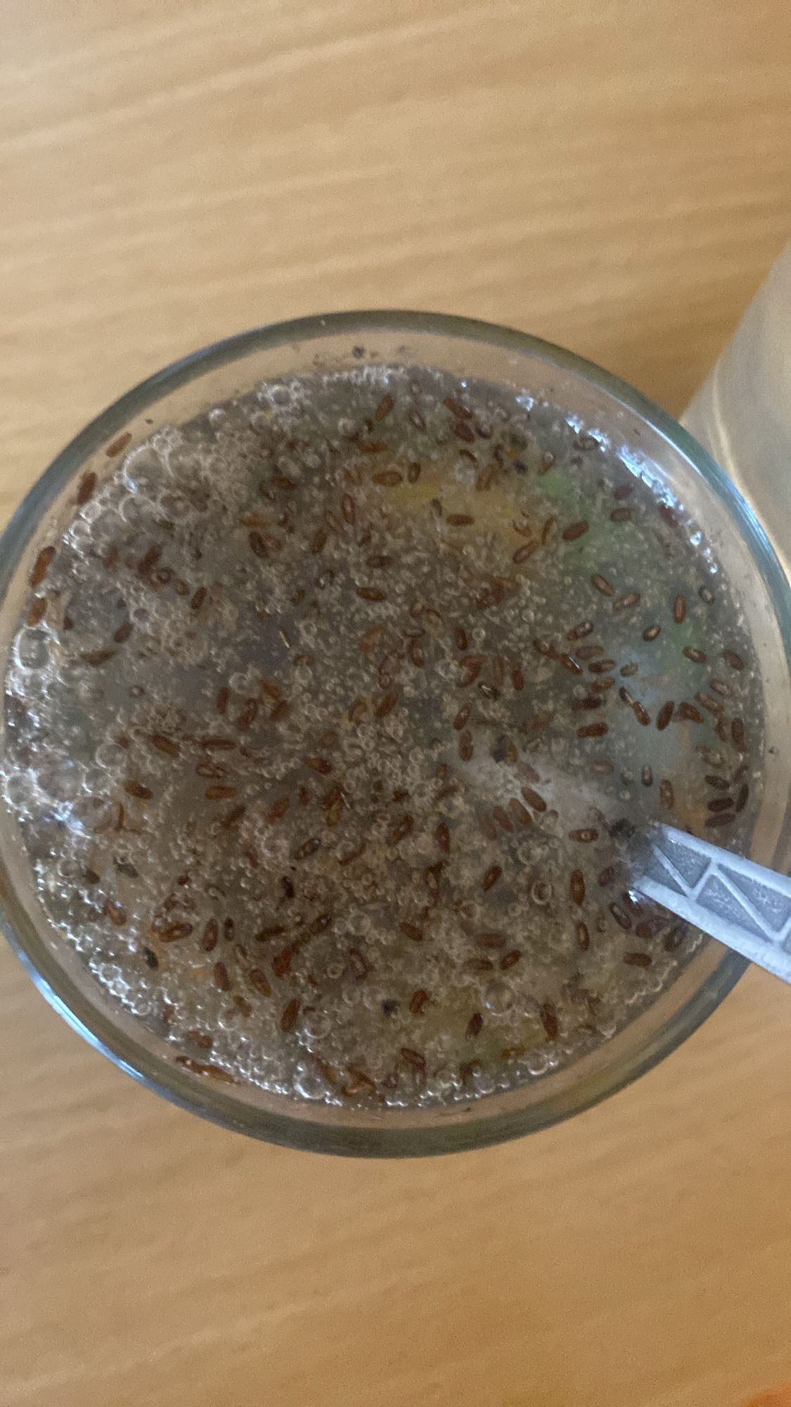 napój z nasionami bazylii