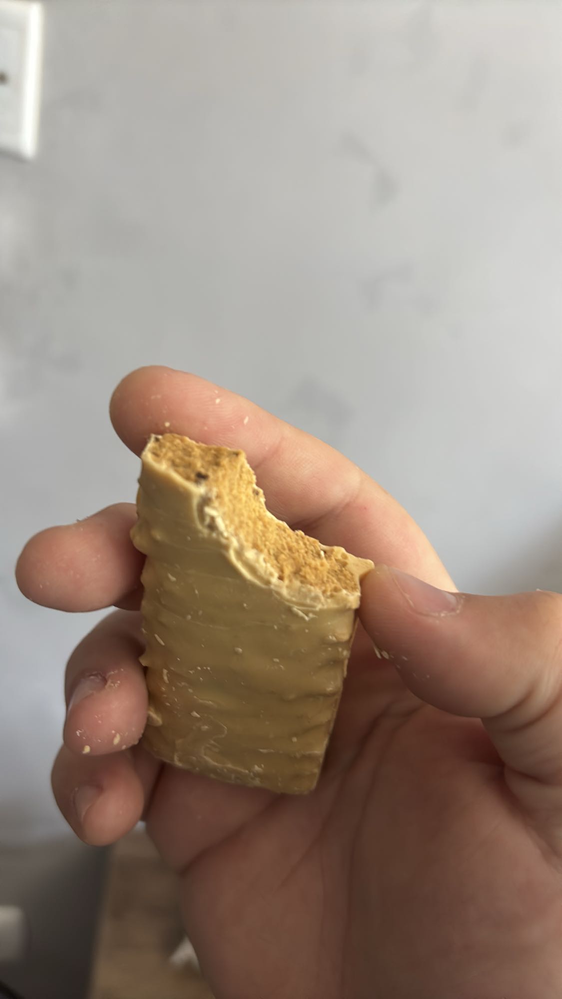 peanut butter protein bar