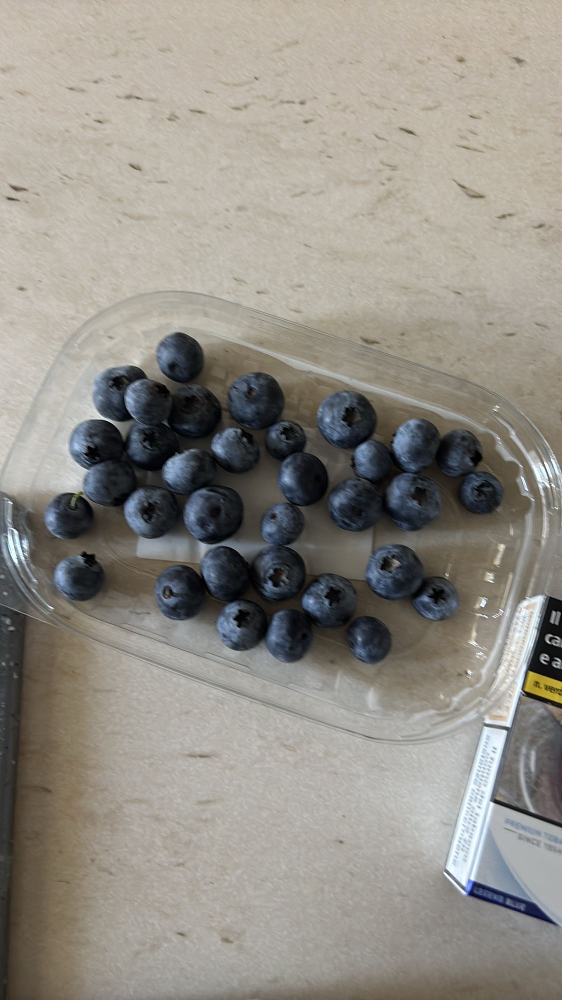 Blueberry Snack