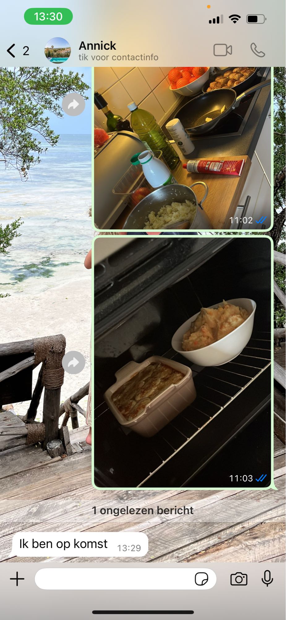 Ovenschotel met puree