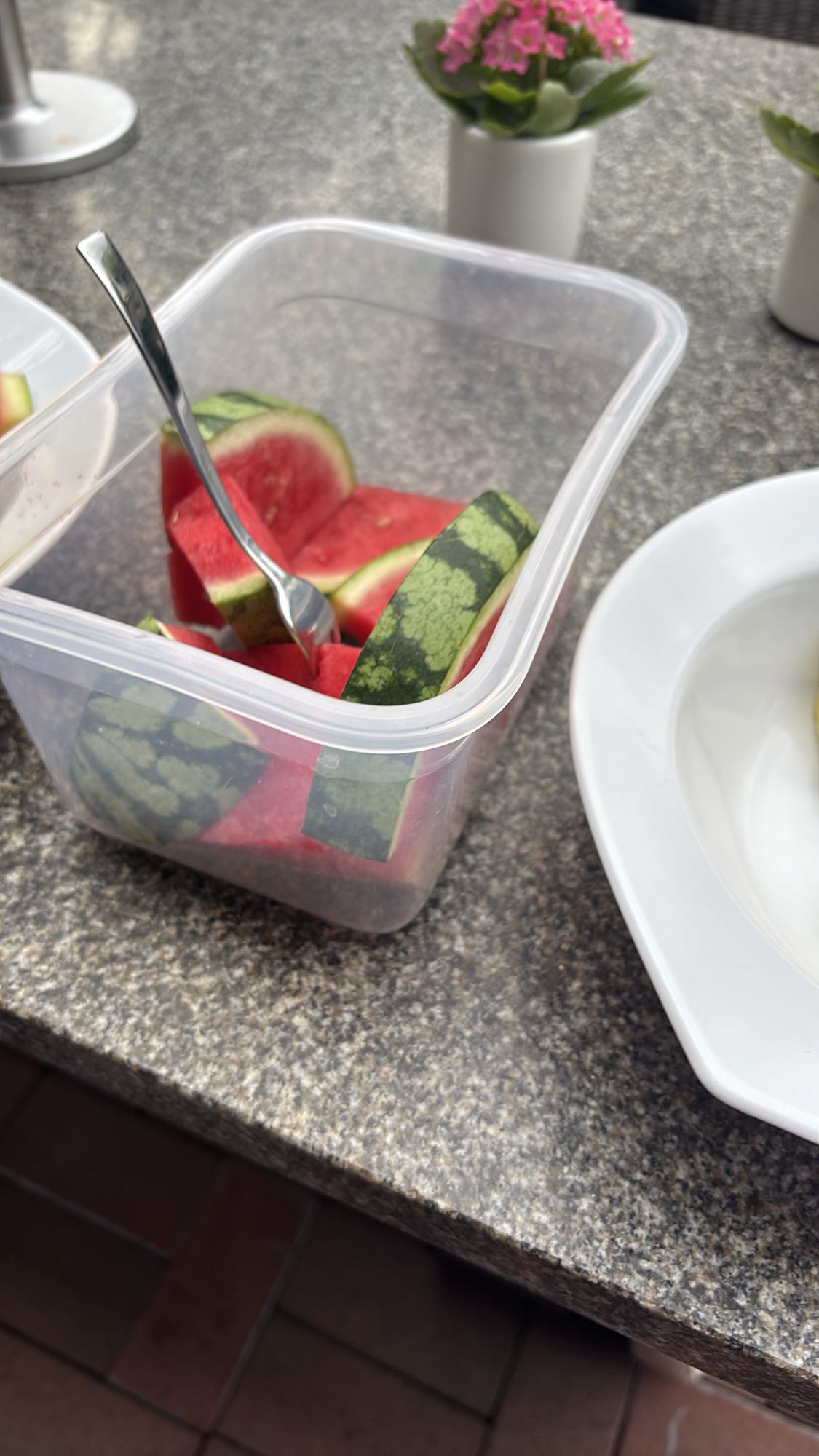 Wassermelonenstücke