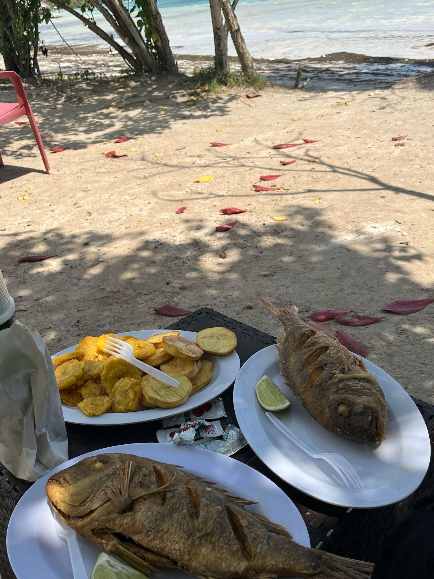 Fried Fish with Plantains