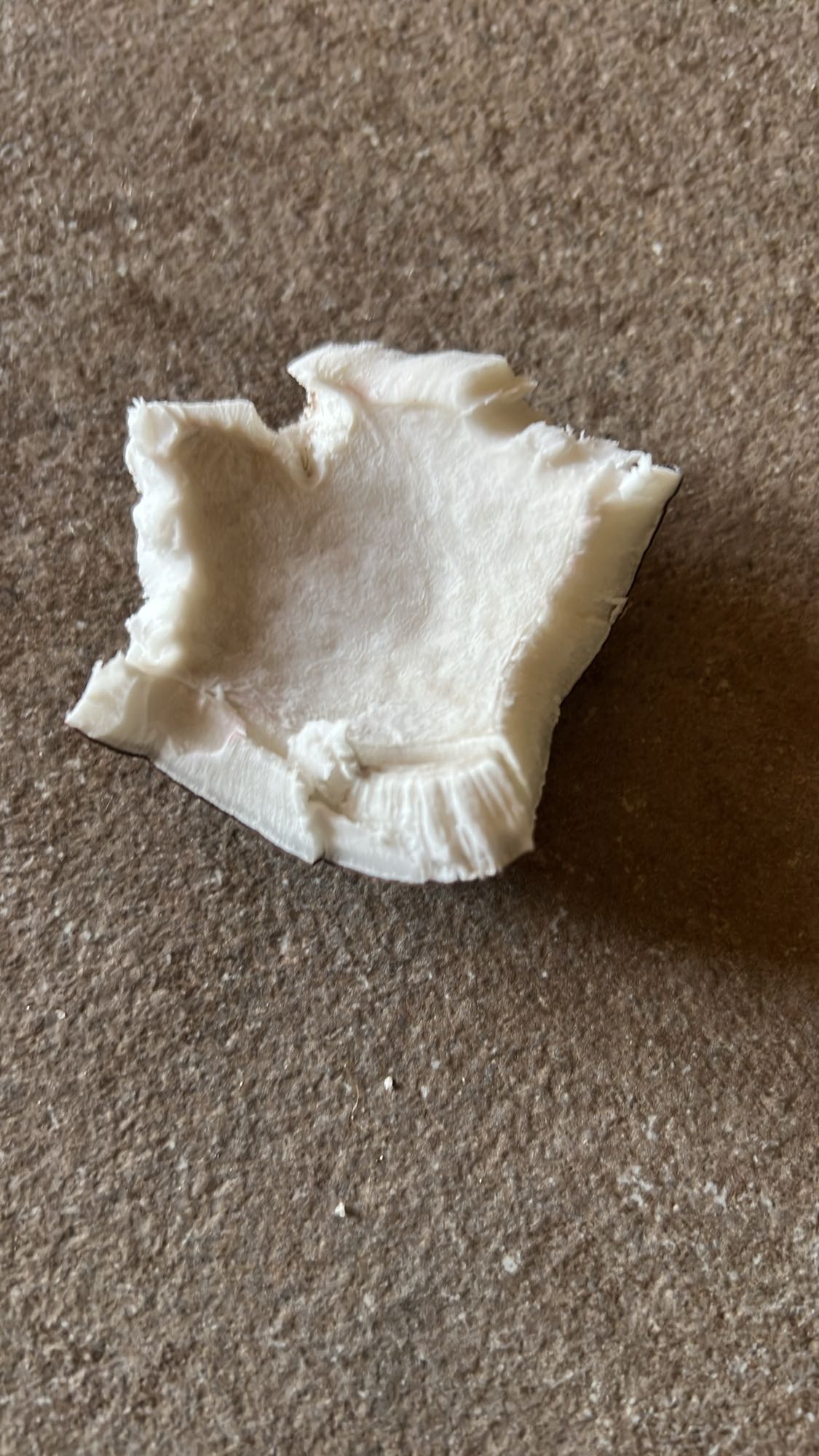 Bucată de ciupercă