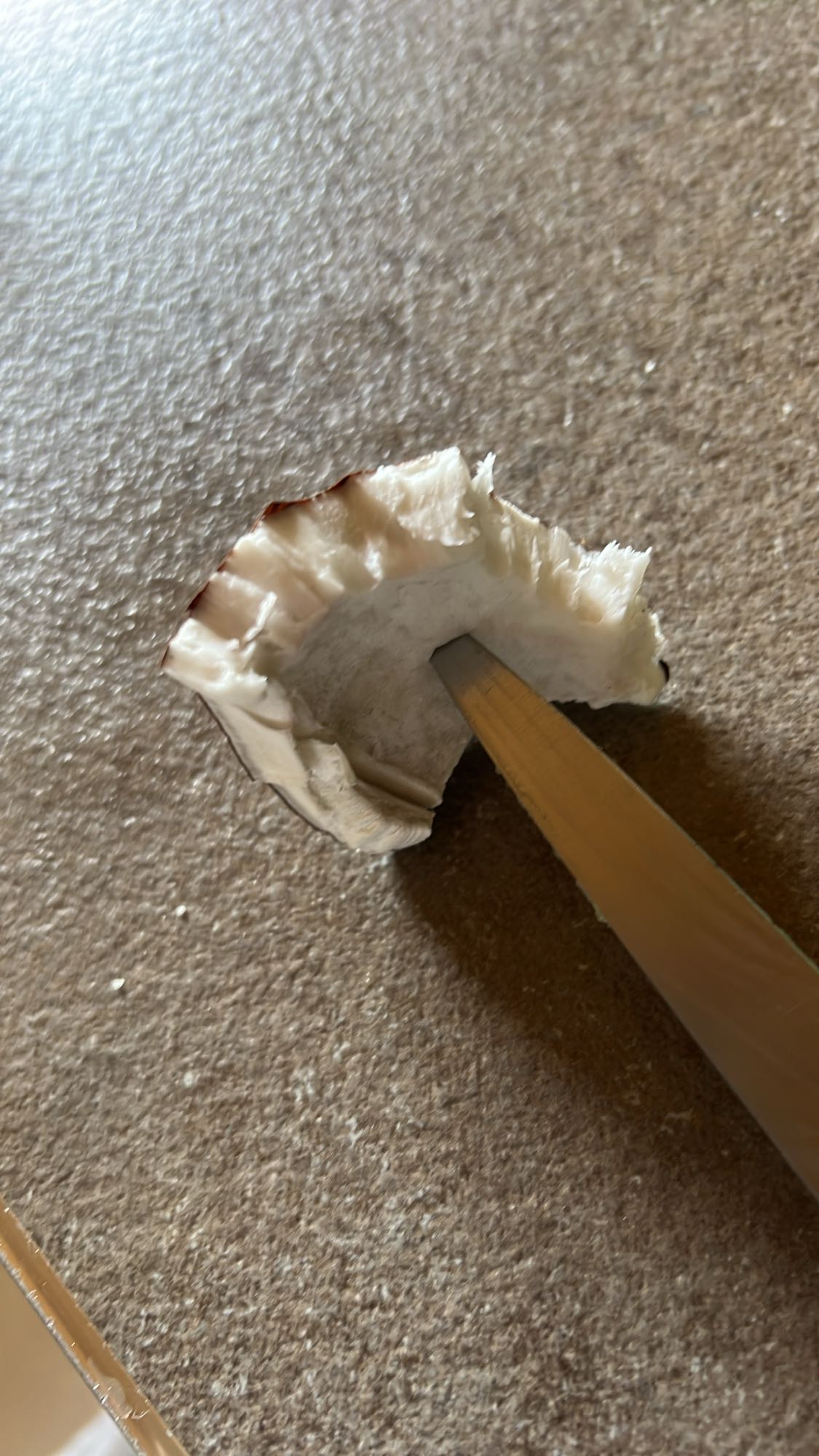 Bucată de nucă de cocos